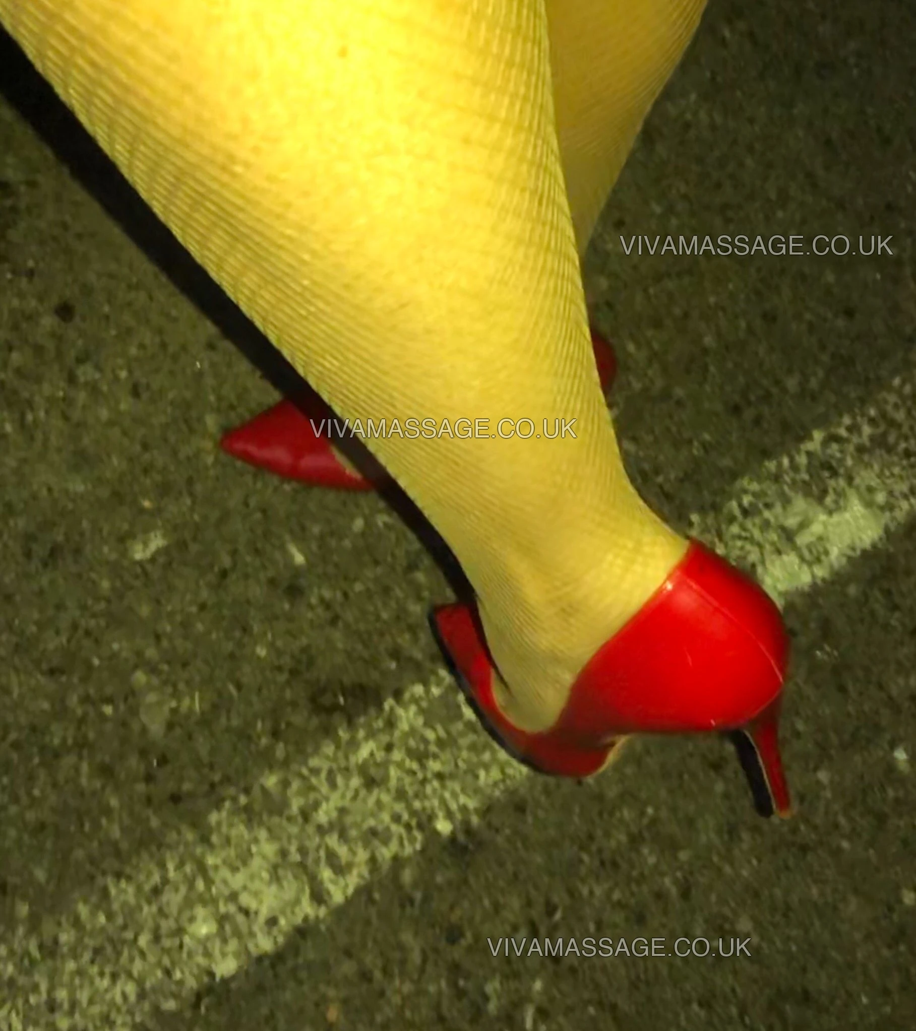 Photo 22 of Sarah Taylor 