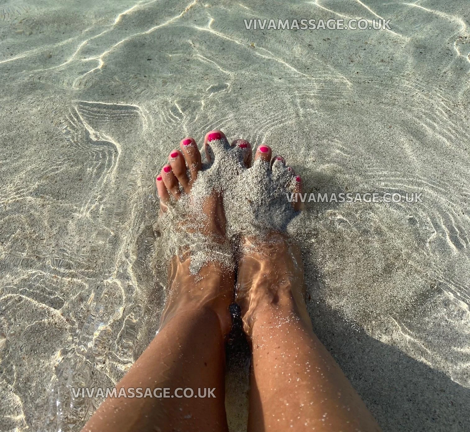 Photo 30 of Alex-Turner