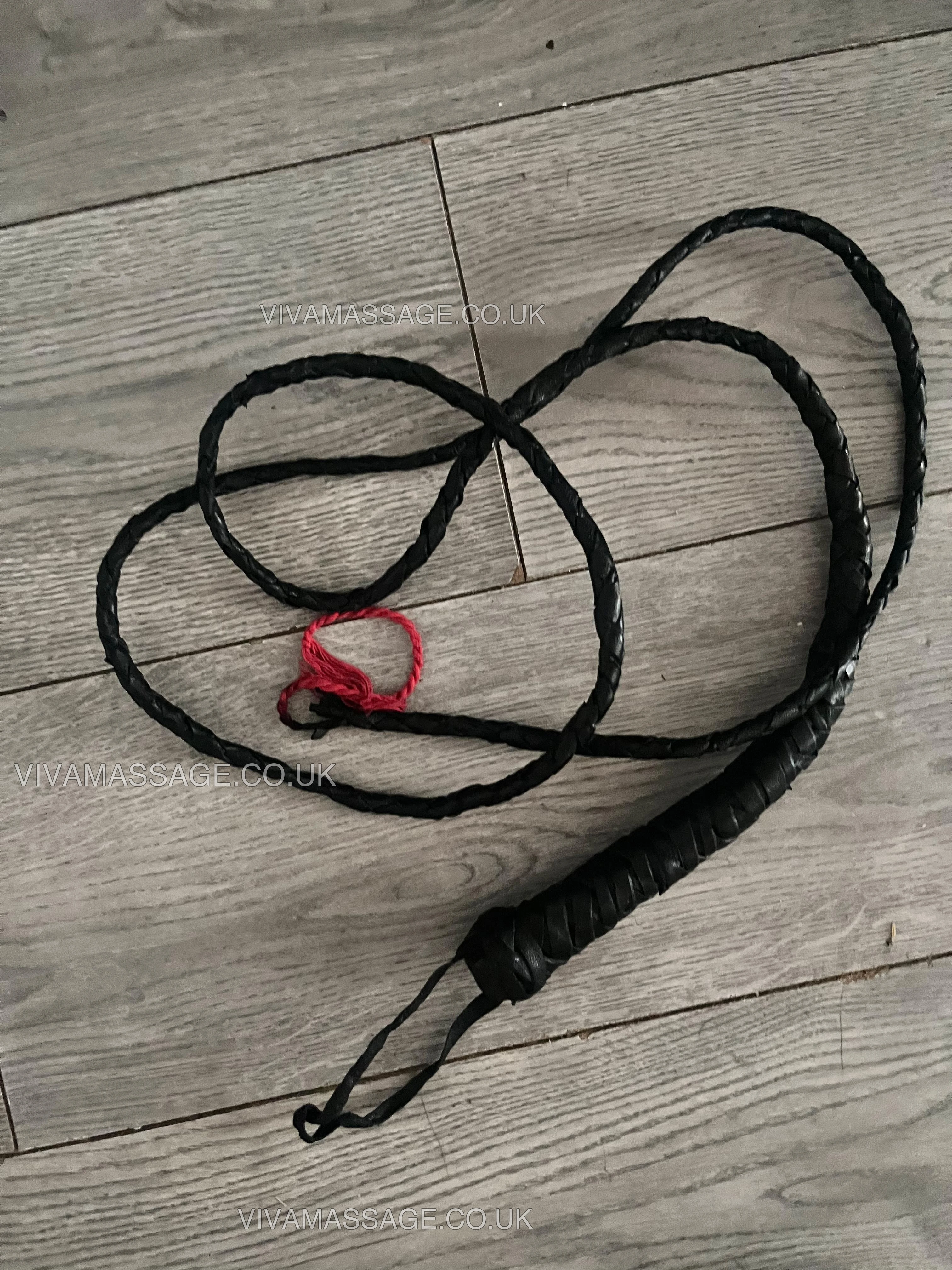 Photo 2 of Miss Samantha_