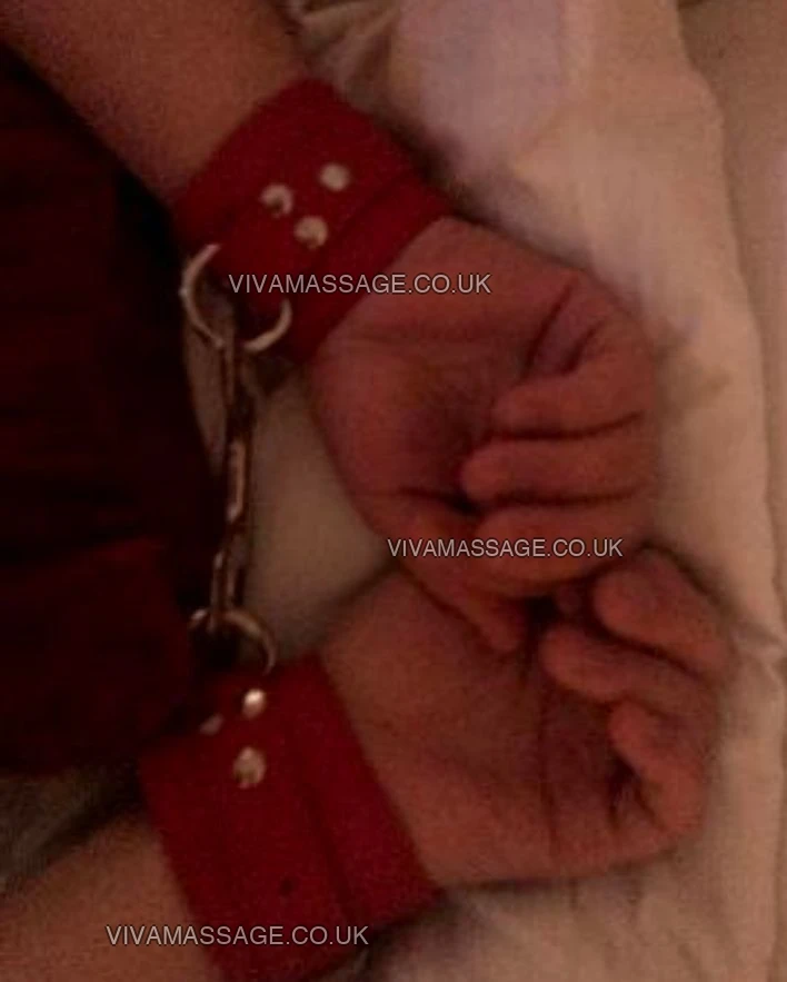 Photo 66 of StunnerCurves