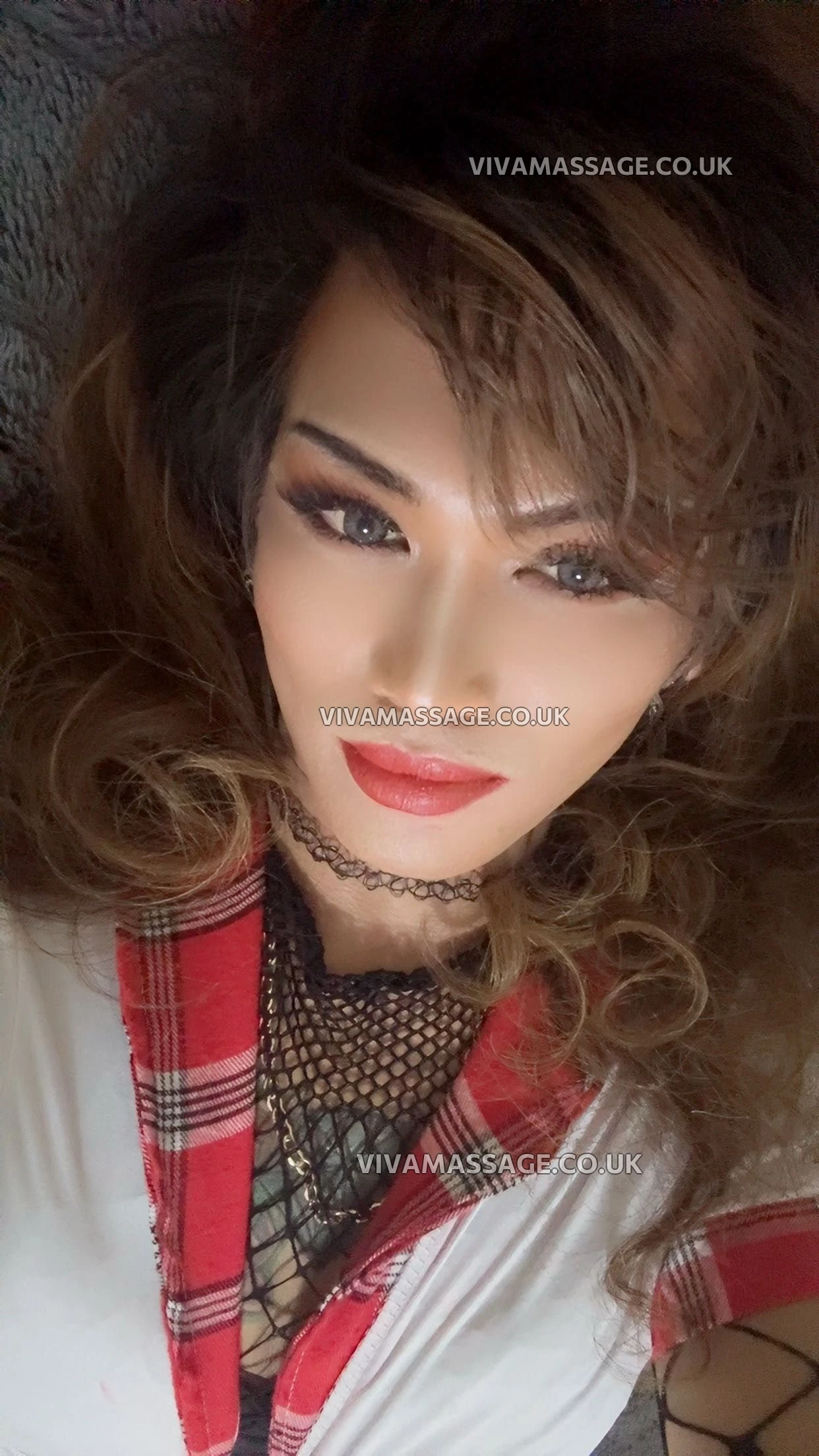 Photo 1 of Kitty cats