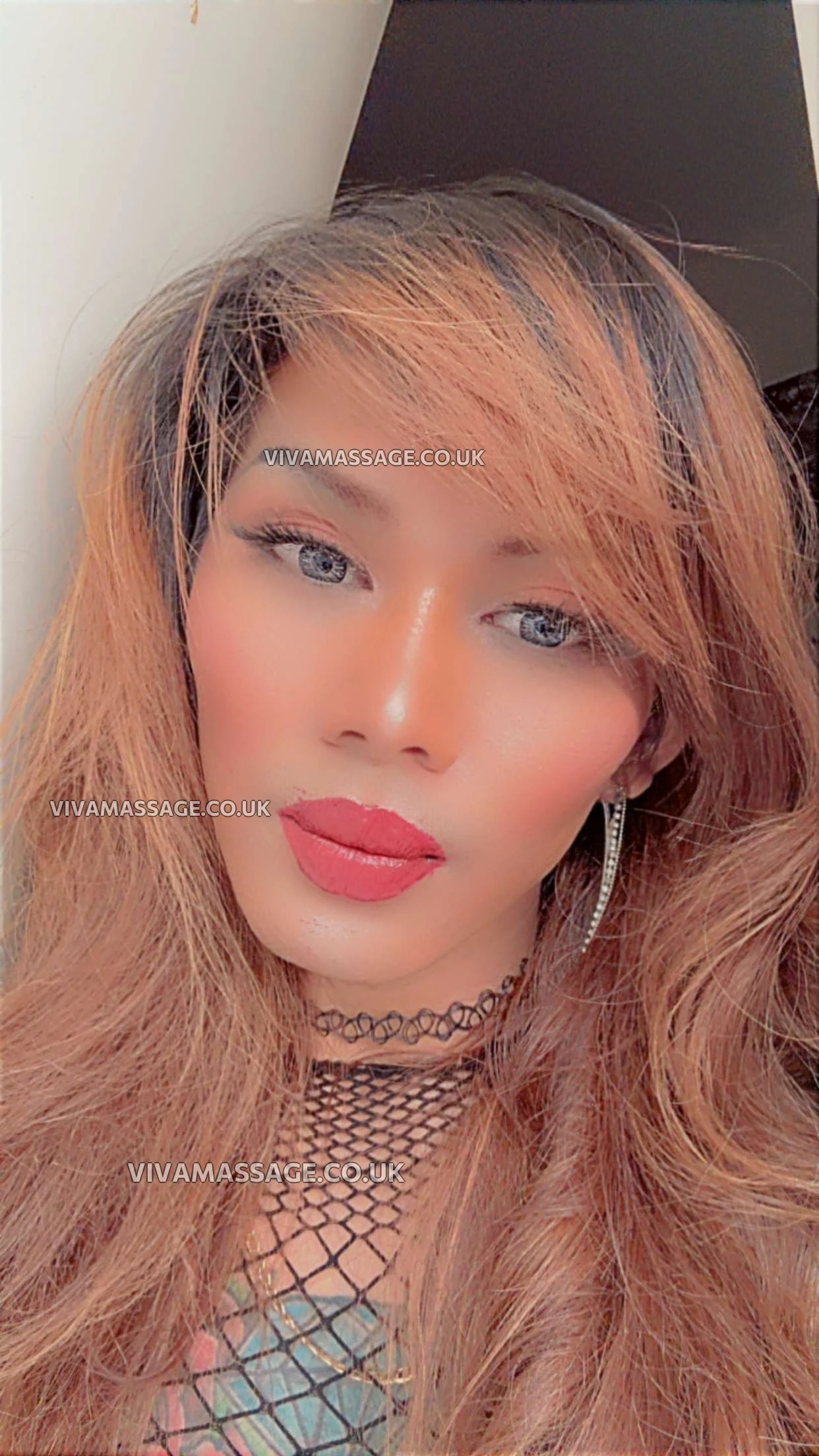 Photo 1 of Kitty cats