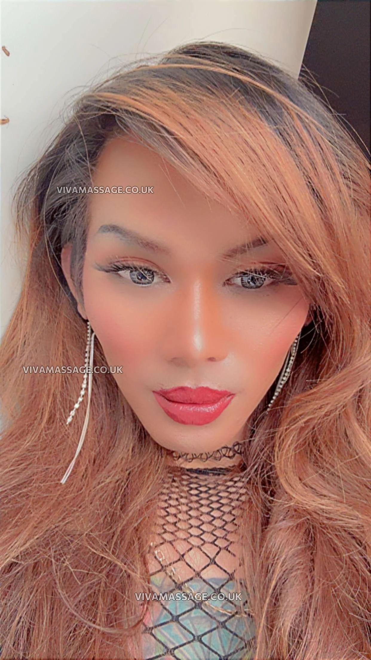 Photo 2 of Kitty cats