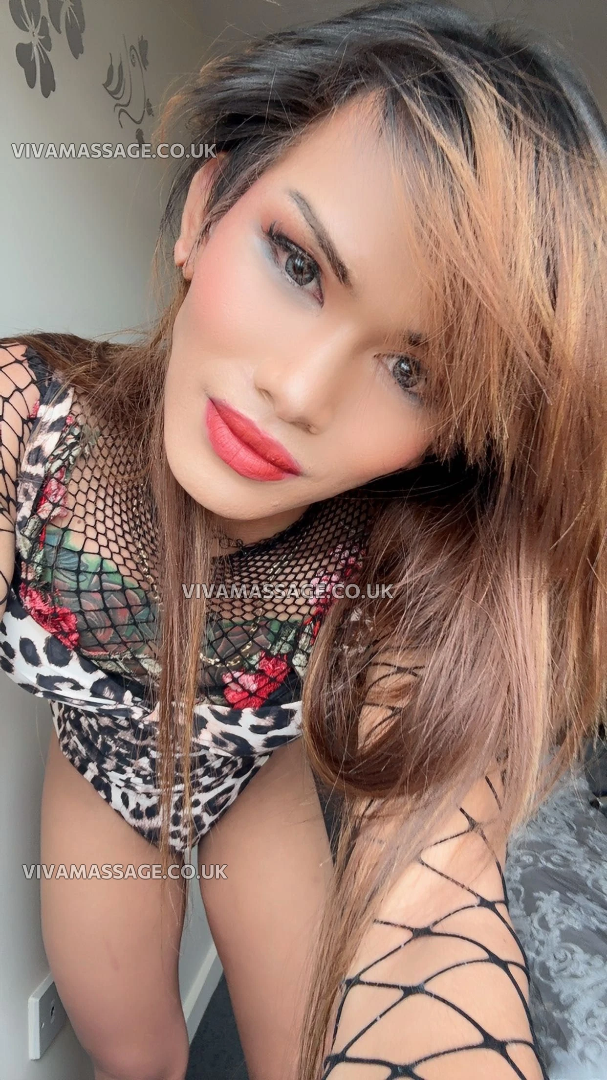 Photo 25 of Kitty cats