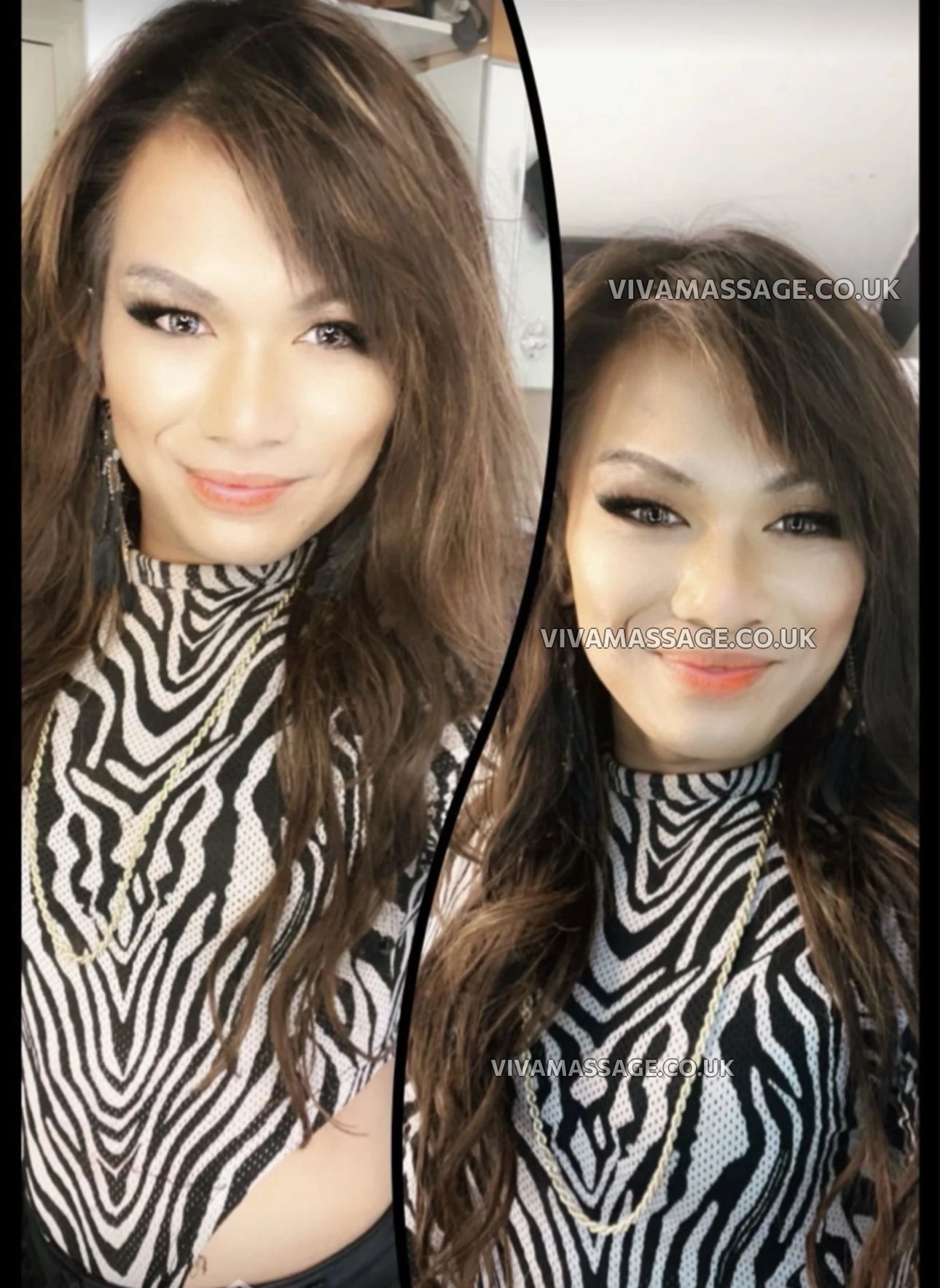 Photo 39 of Kitty cats