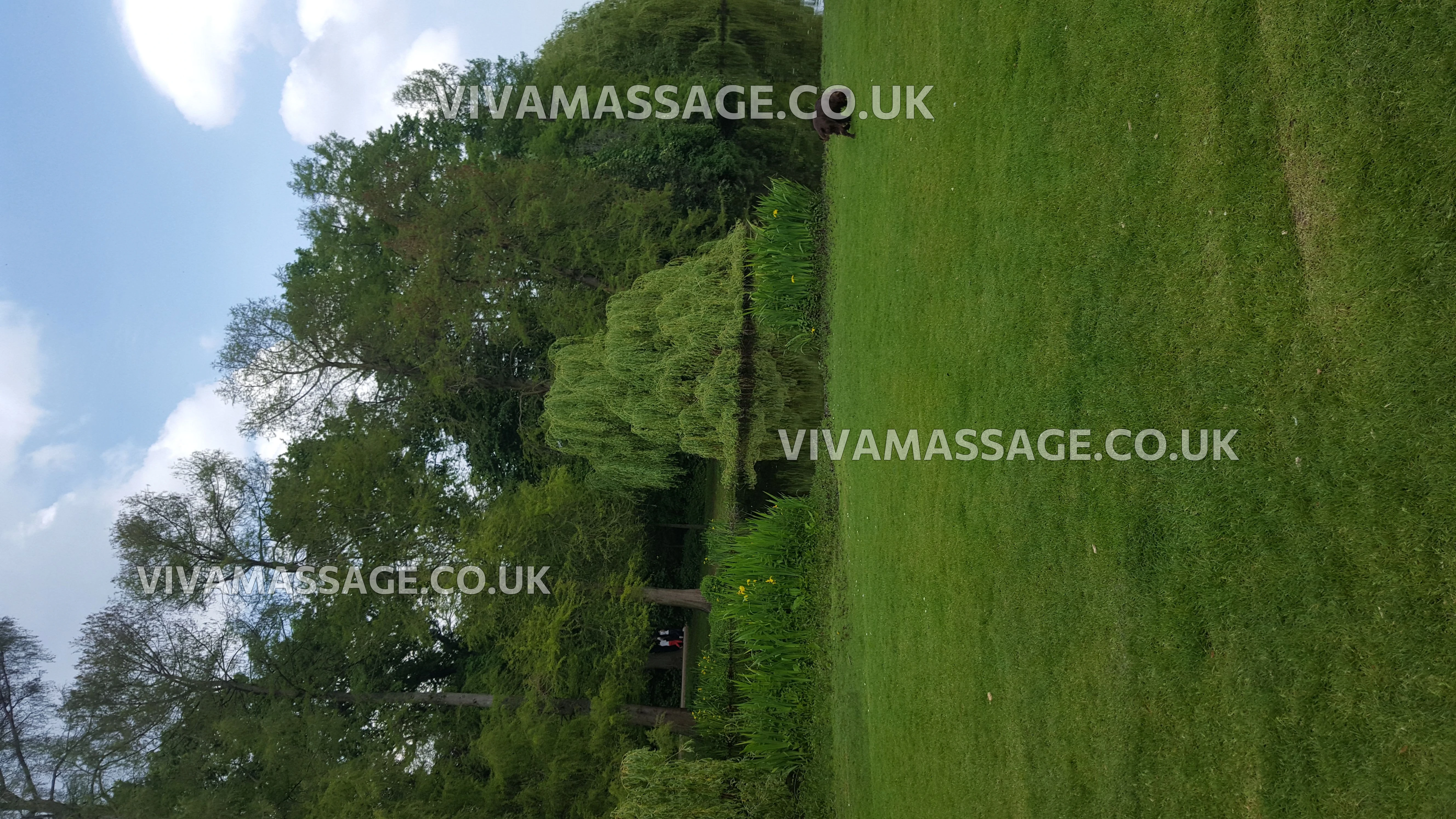 Photo 3 of sweet DDs