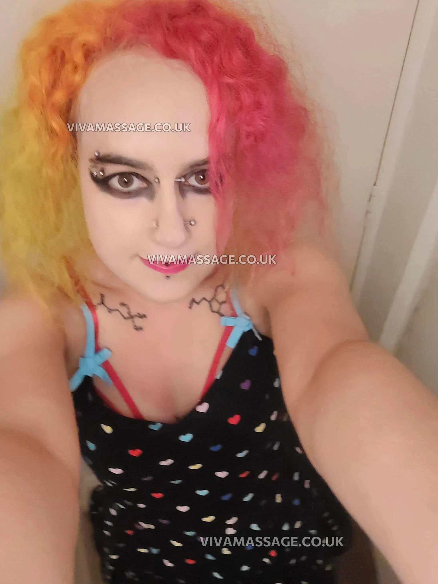 Photo 1 of ScarletSwitch