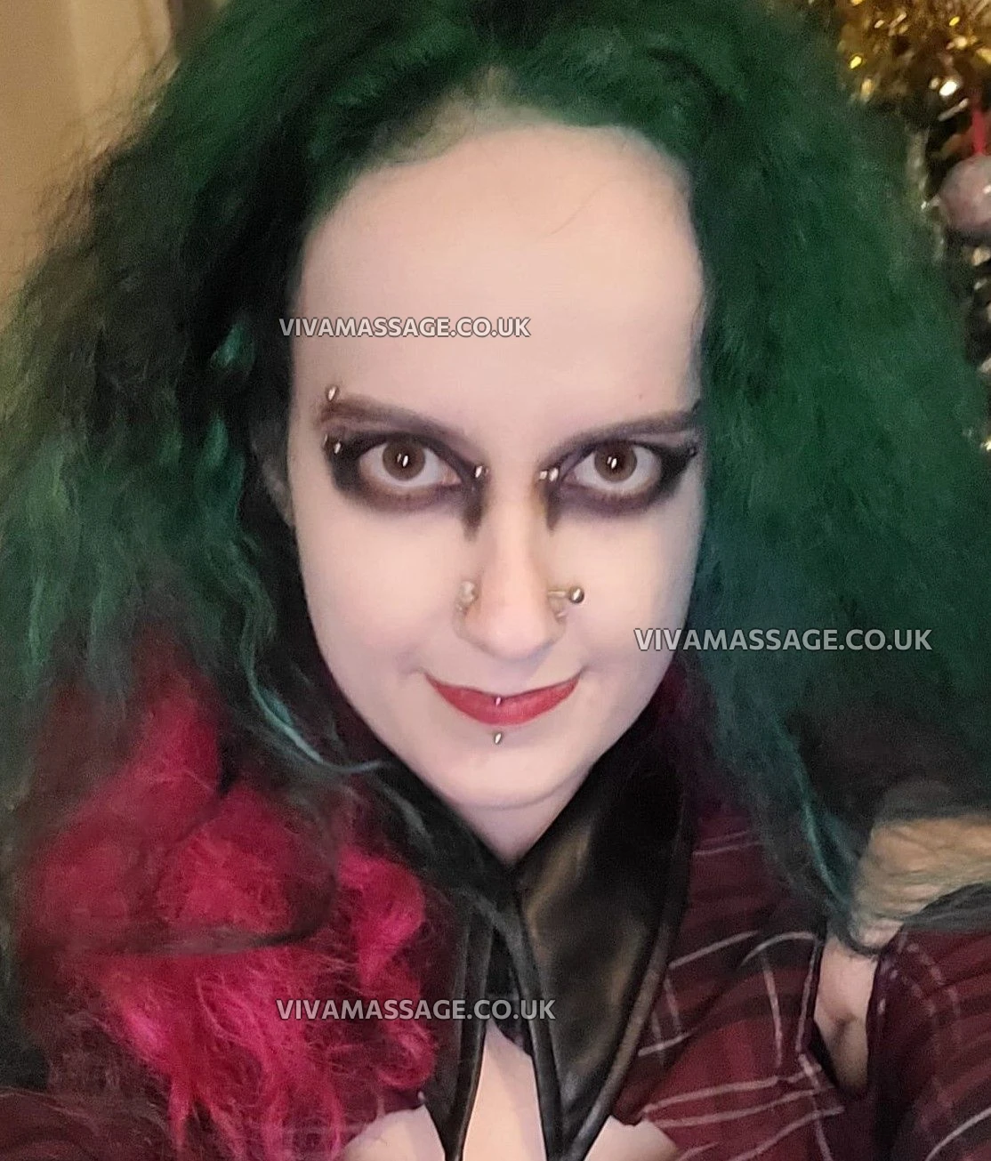 Photo 14 of ScarletSwitch