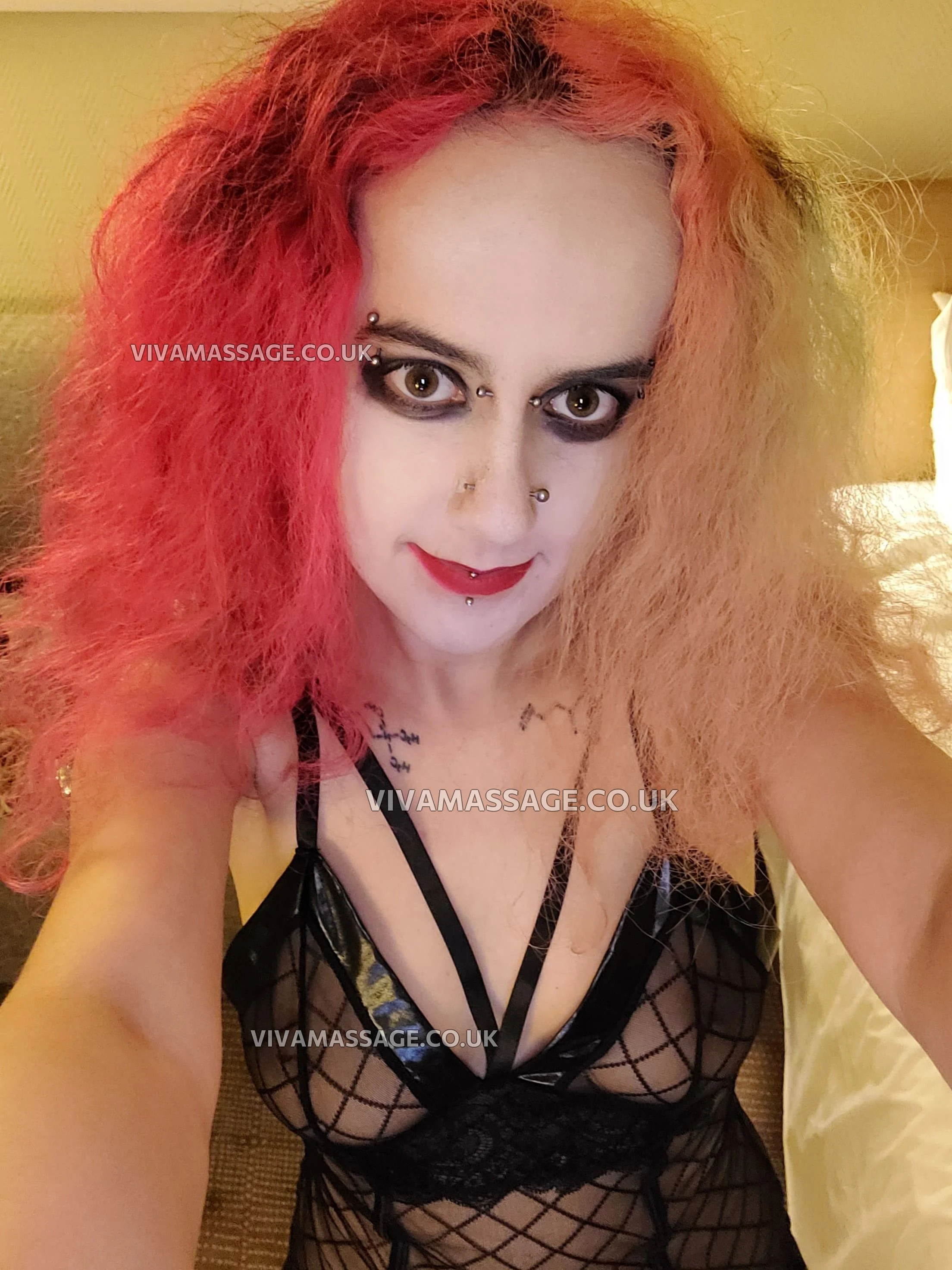 Photo 17 of ScarletSwitch