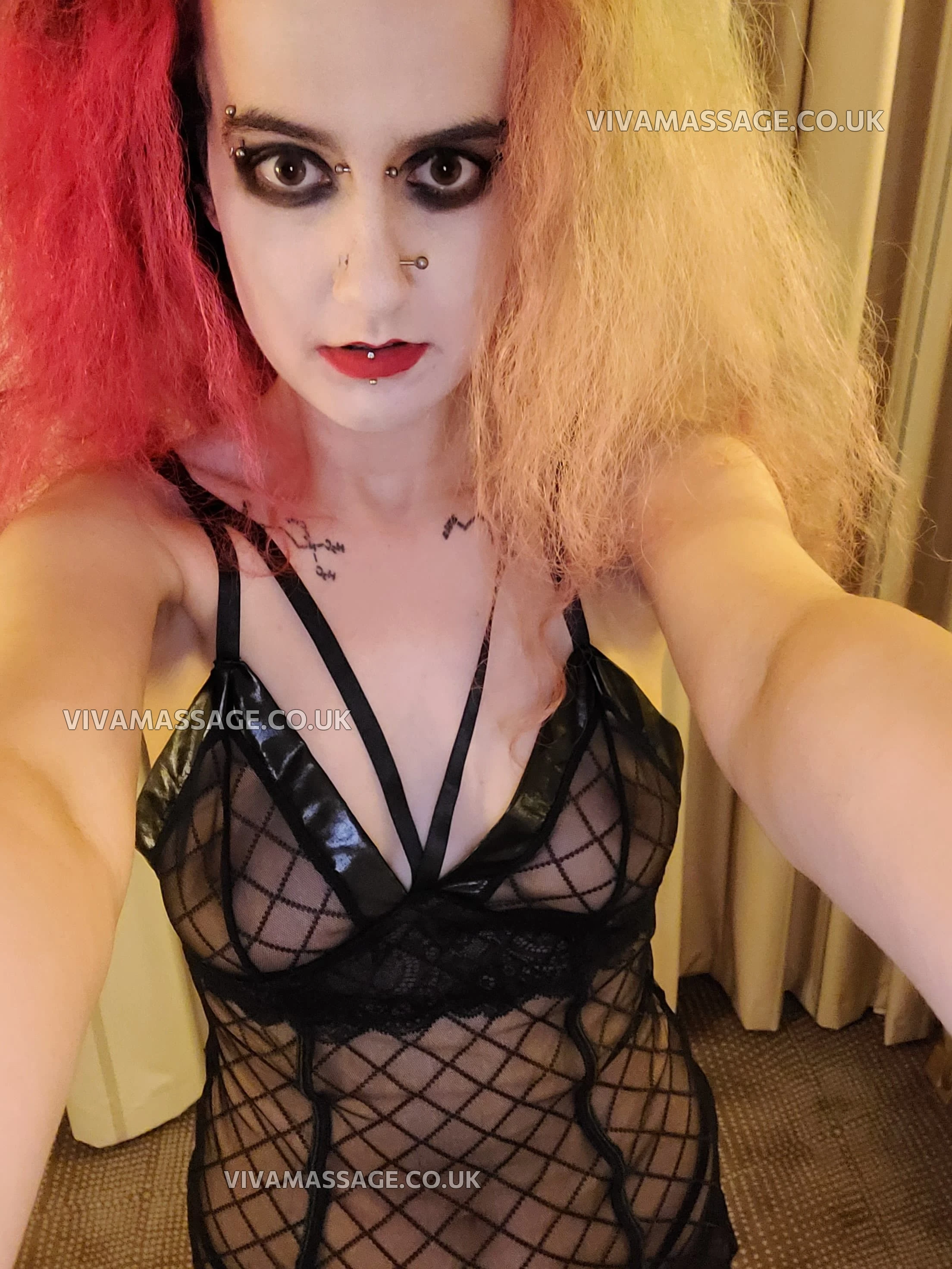 Photo 18 of ScarletSwitch