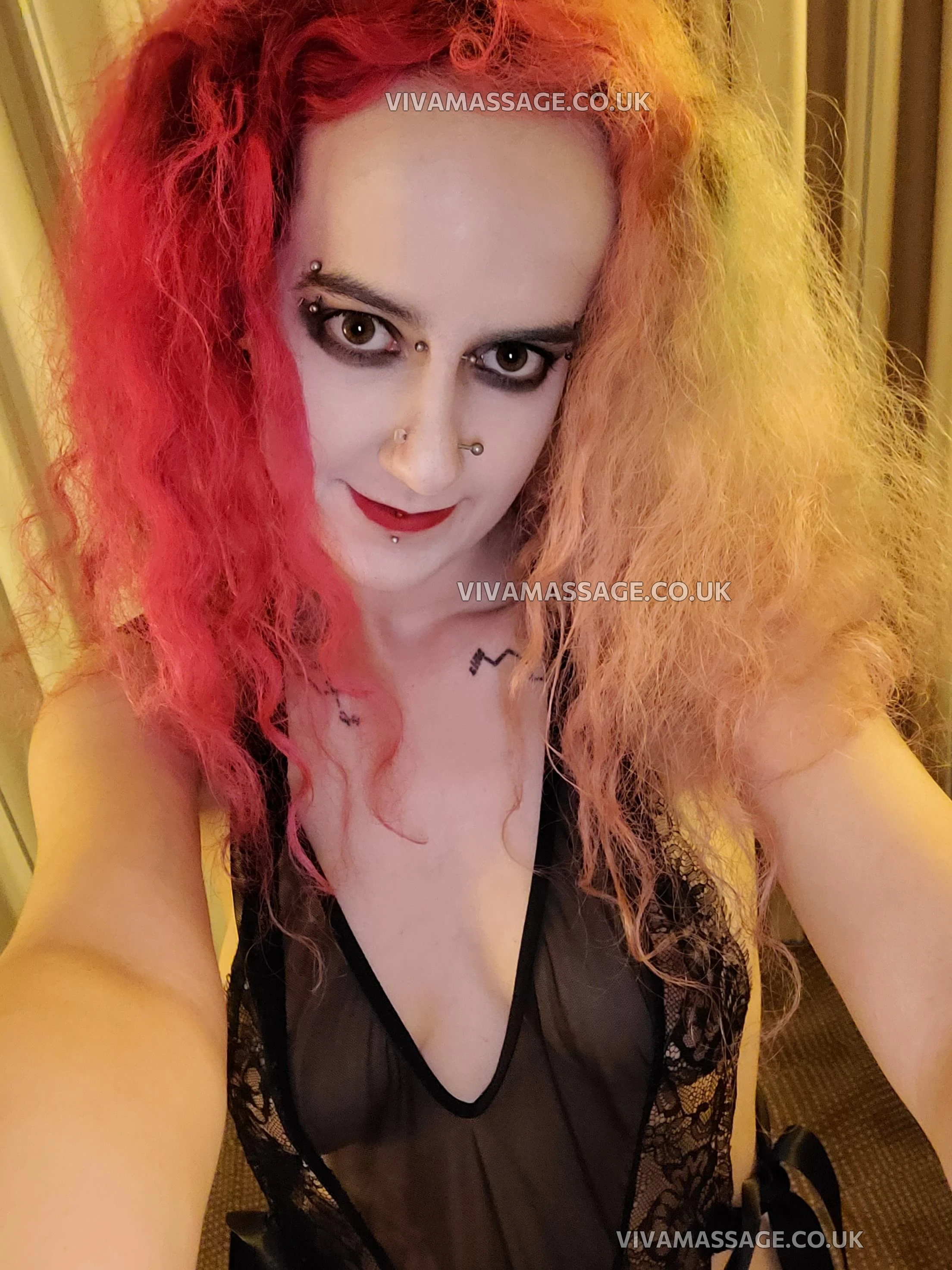 Photo 21 of ScarletSwitch