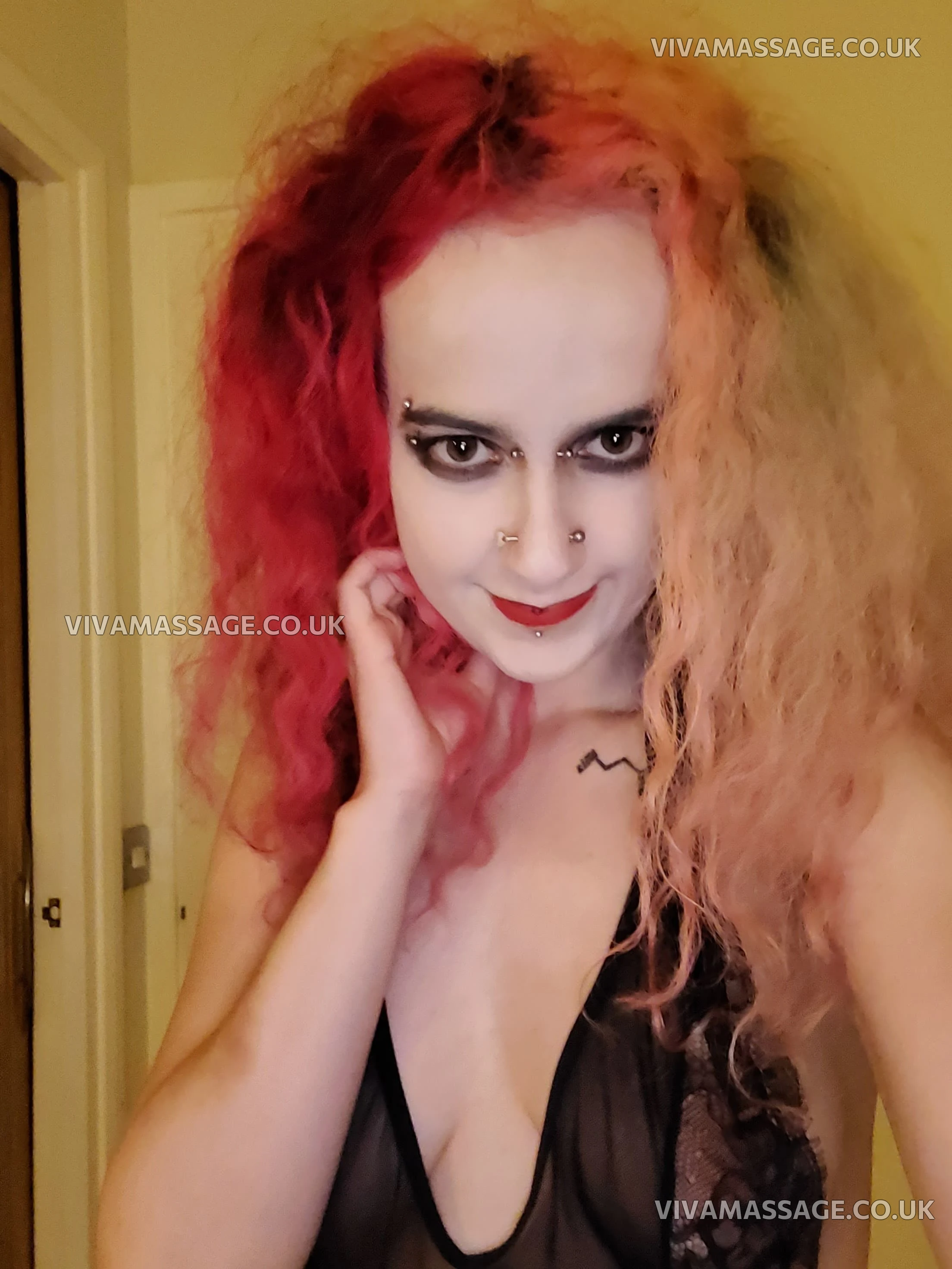 Photo 22 of ScarletSwitch