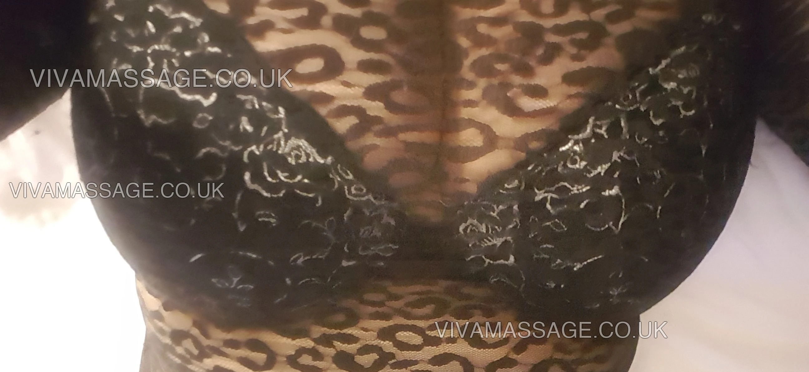 Photo 12 of british beauty nova