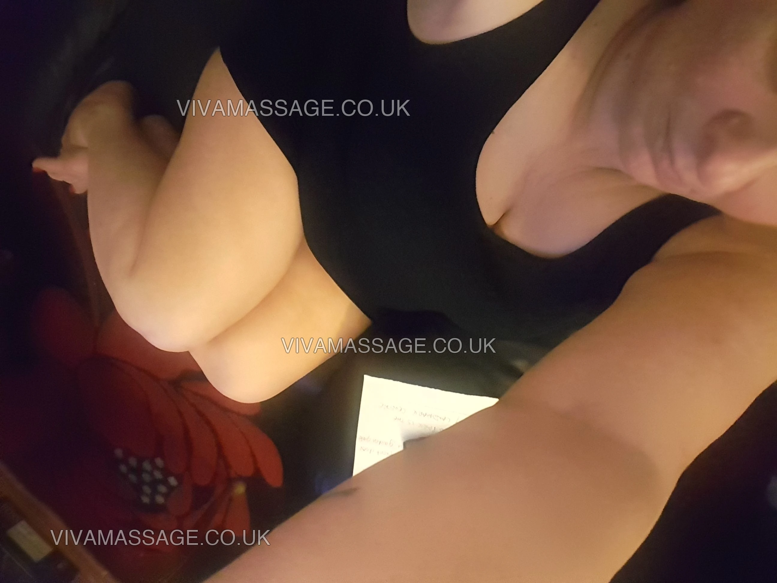 Photo 18 of british beauty nova