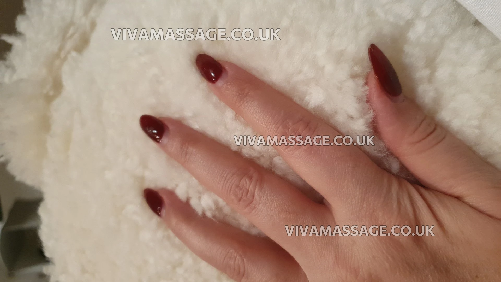 Photo 22 of Nicole Nights