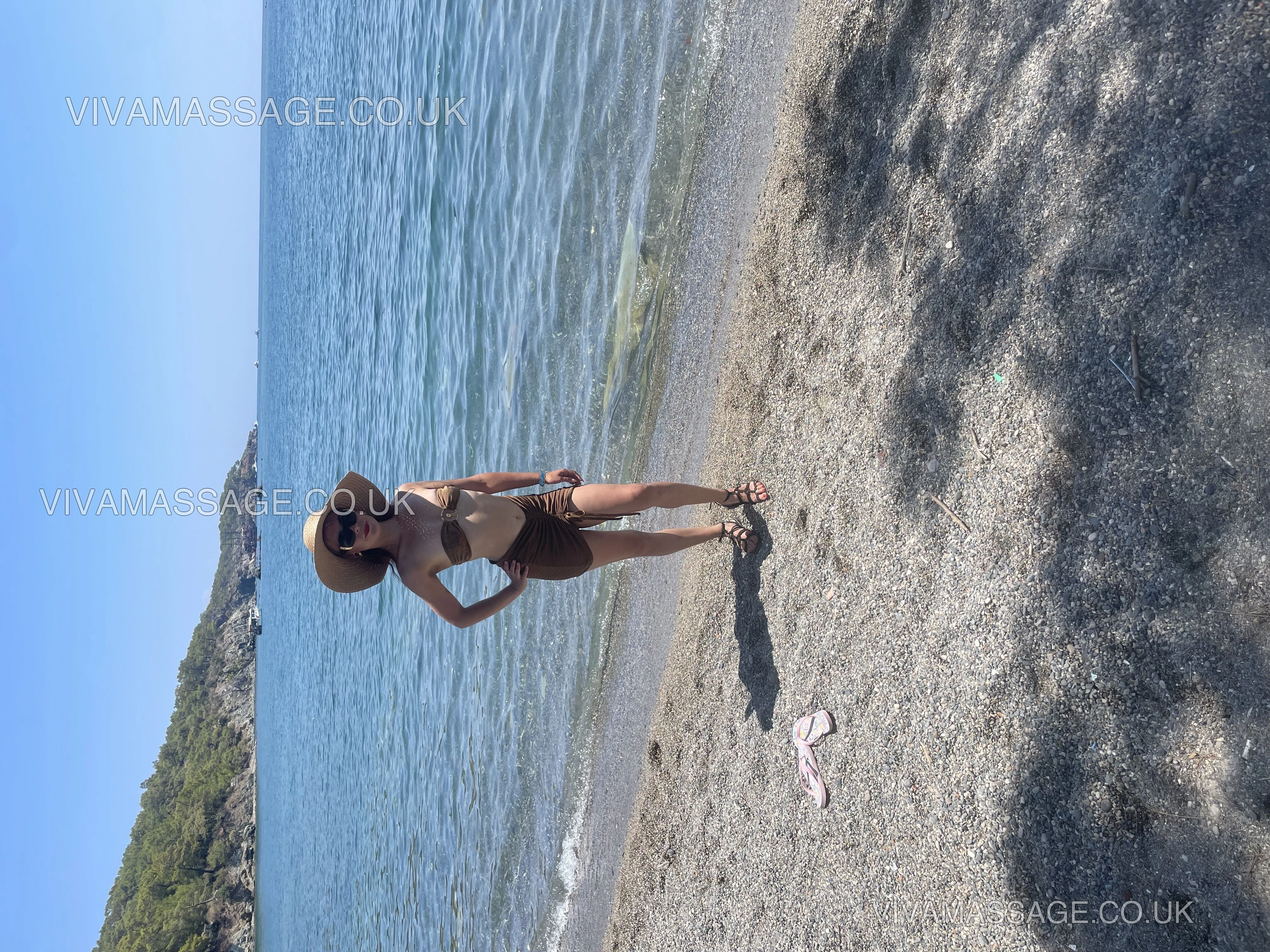 Photo 10 of westmidlandrose