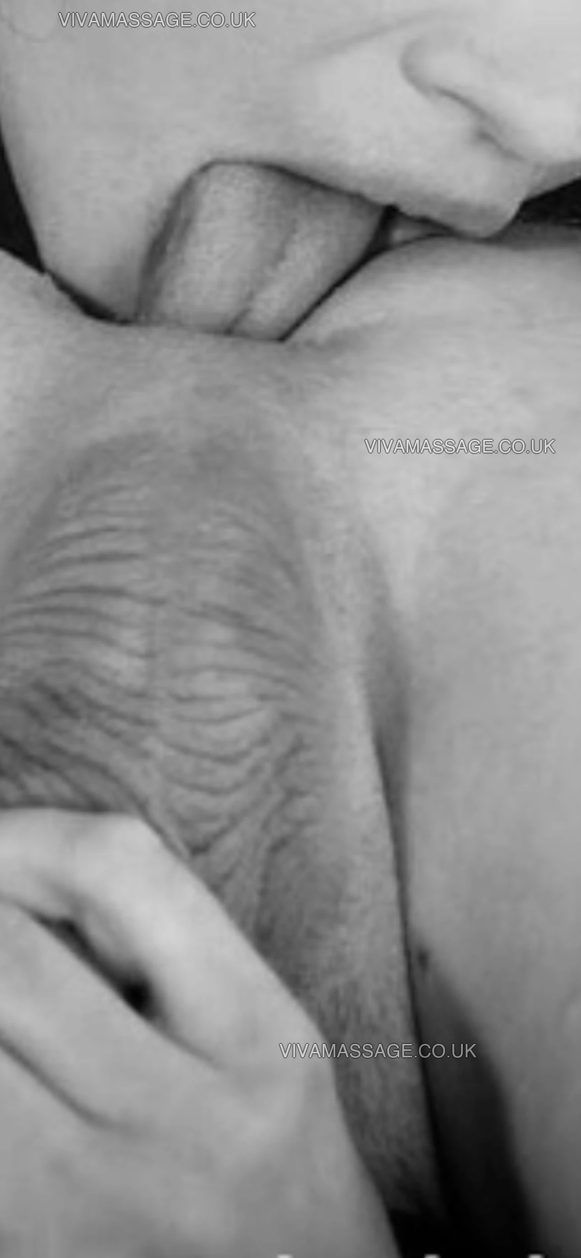 Photo 25 of Kelly Buns