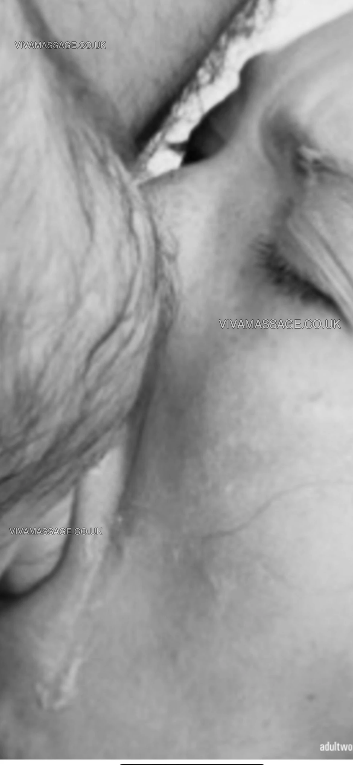 Photo 32 of Kelly Buns