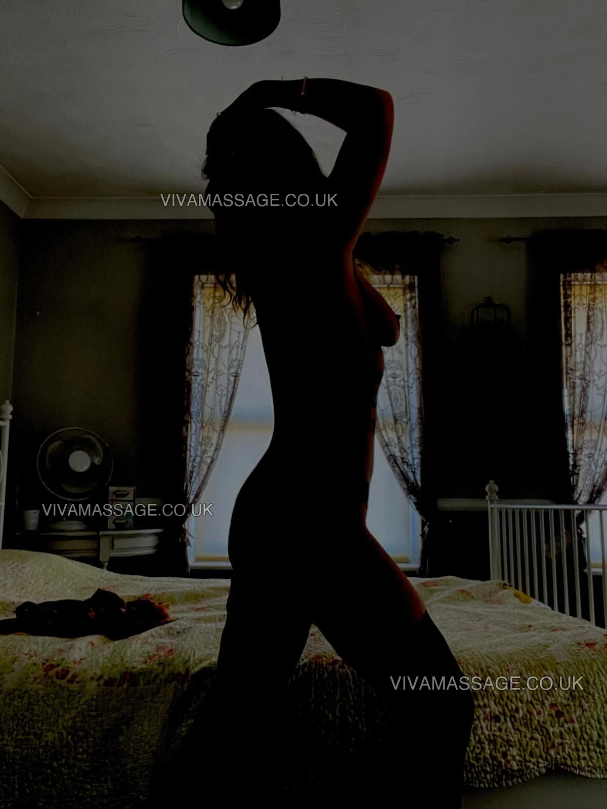 Photo 1 of English_Fearn