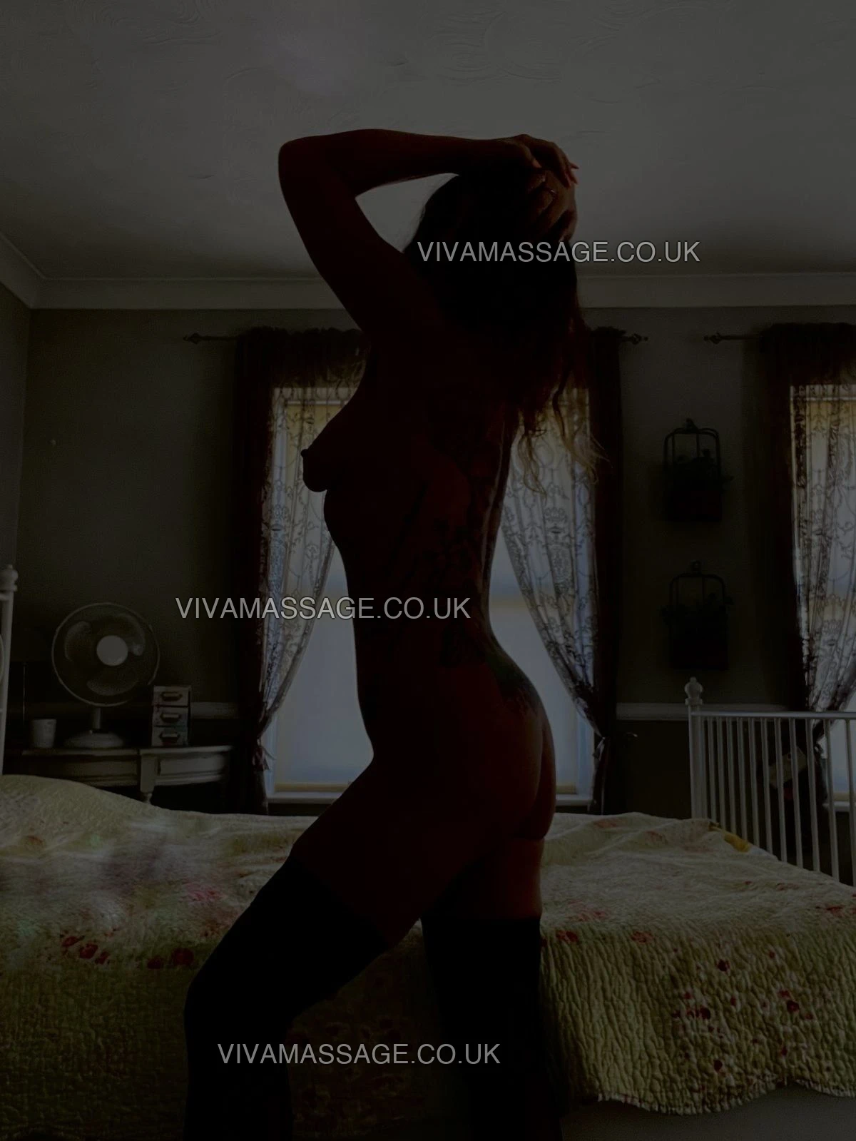 Photo 2 of English_Fearn