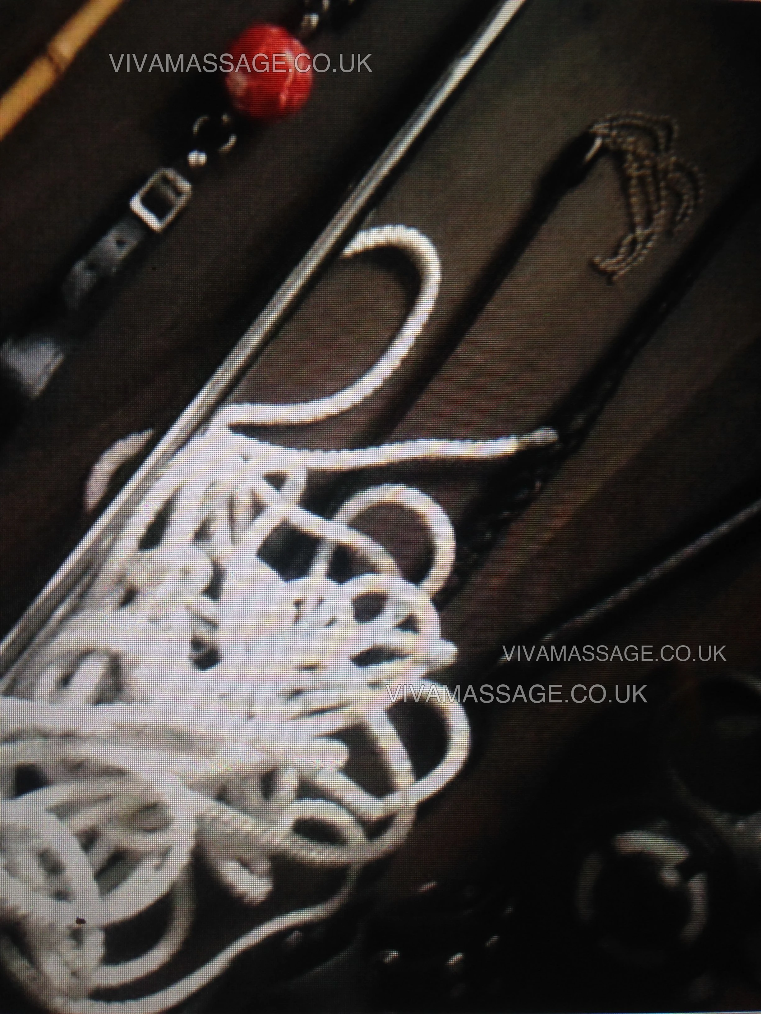 Photo 1 of MadameMeave 