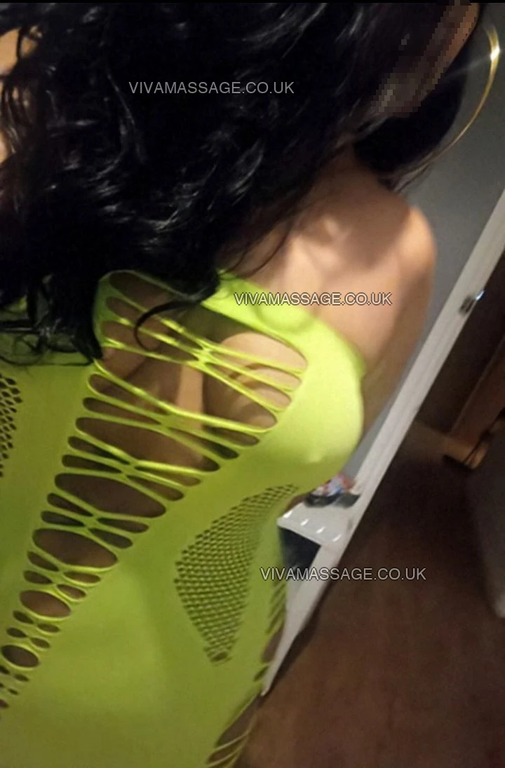 Photo 19 of BRITISH ANISHA 