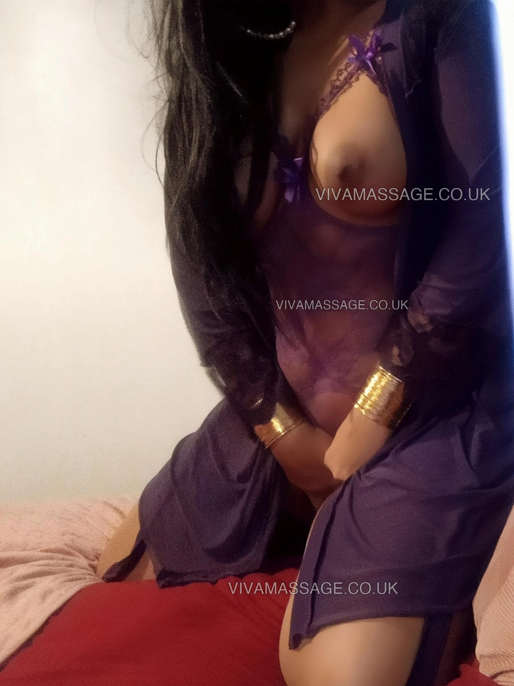 Photo 25 of BRITISH ANISHA 