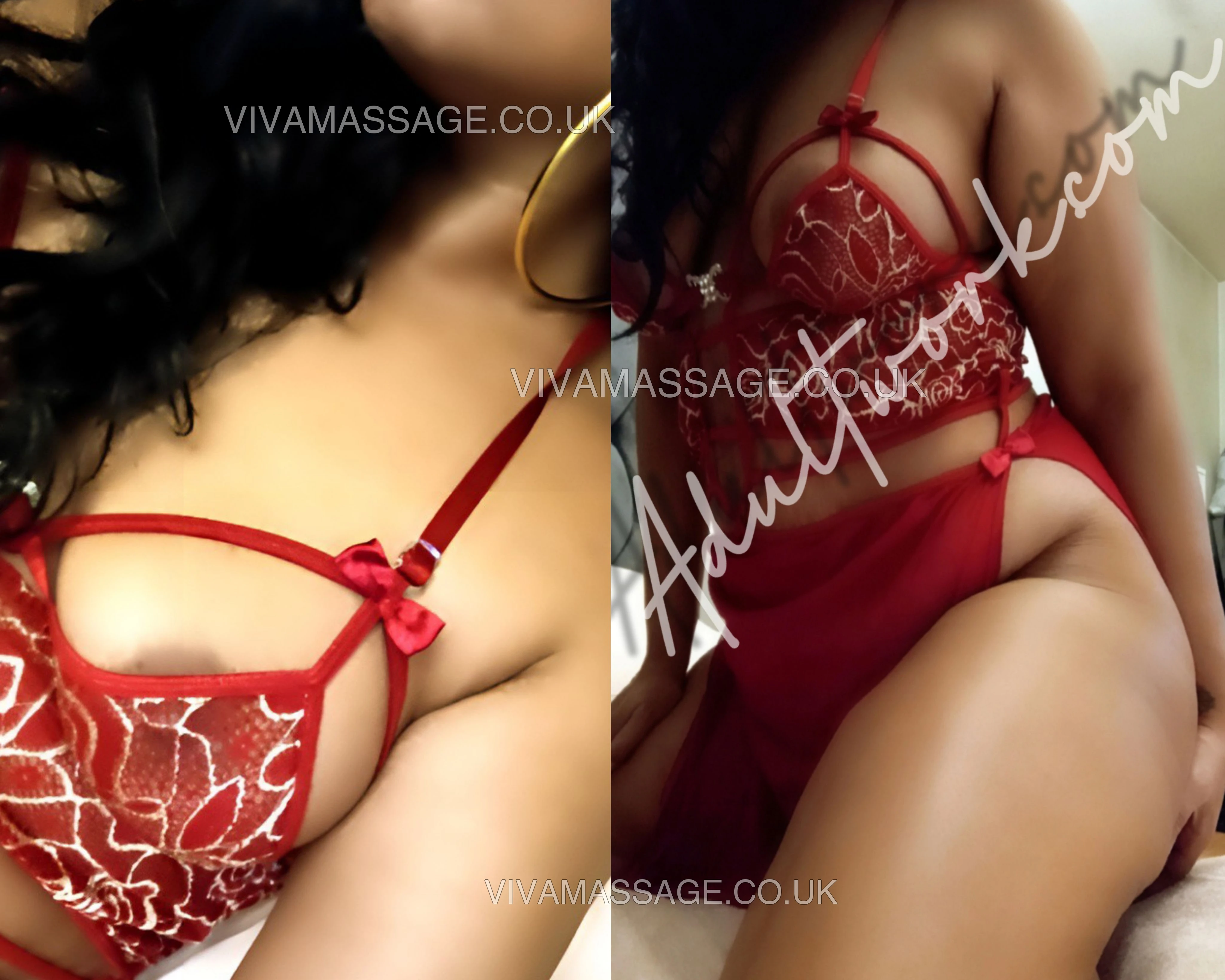 Photo 38 of BRITISH ANISHA 