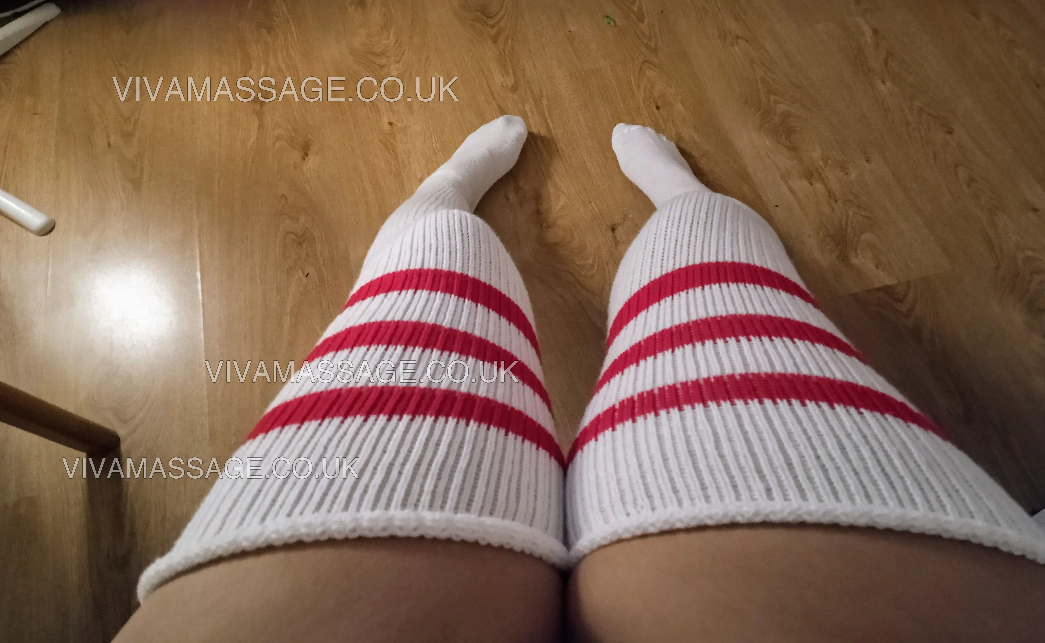 Photo 93 of BRITISH ANISHA 