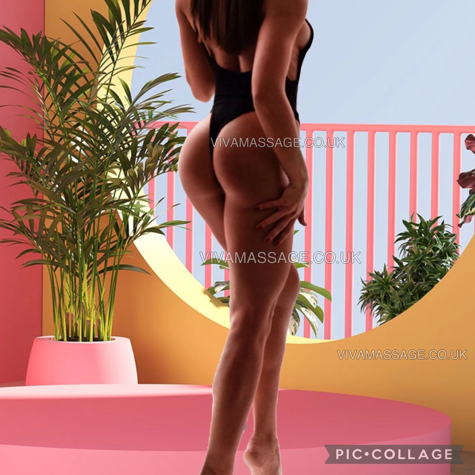 Photo 5 of AMY ENGLISH WHITE UK