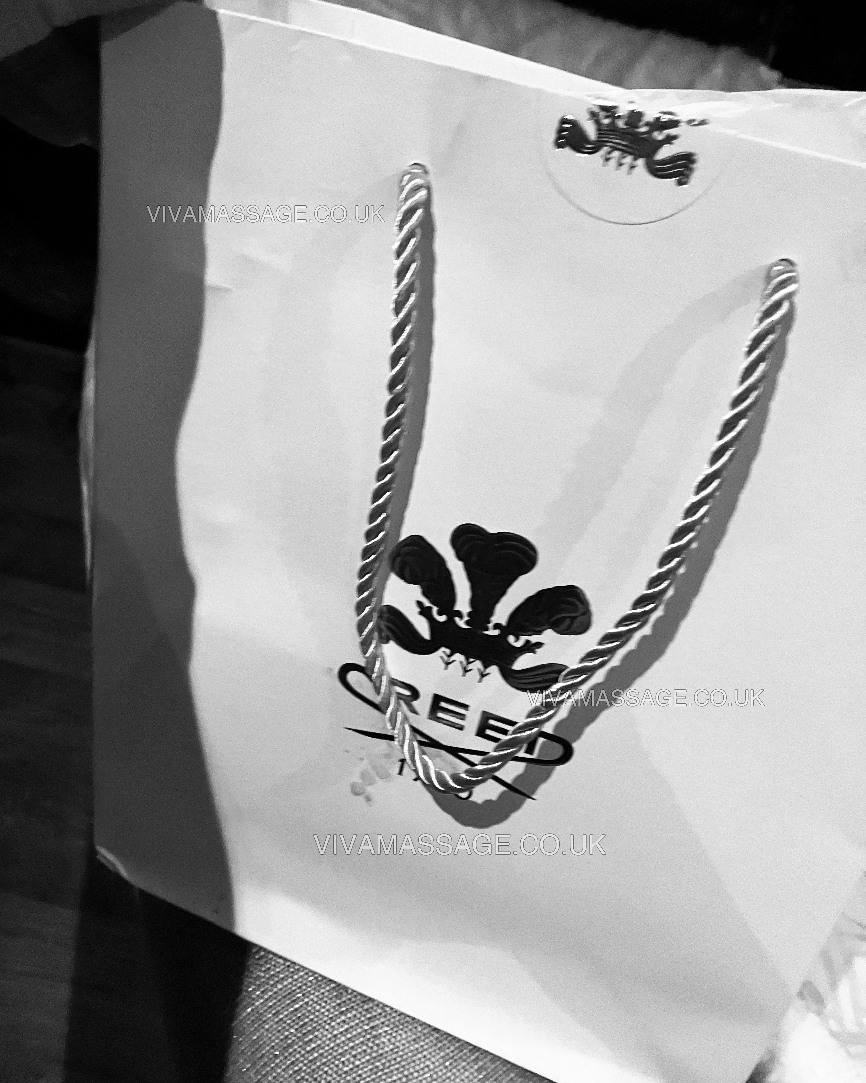 Photo 69 of harley lust