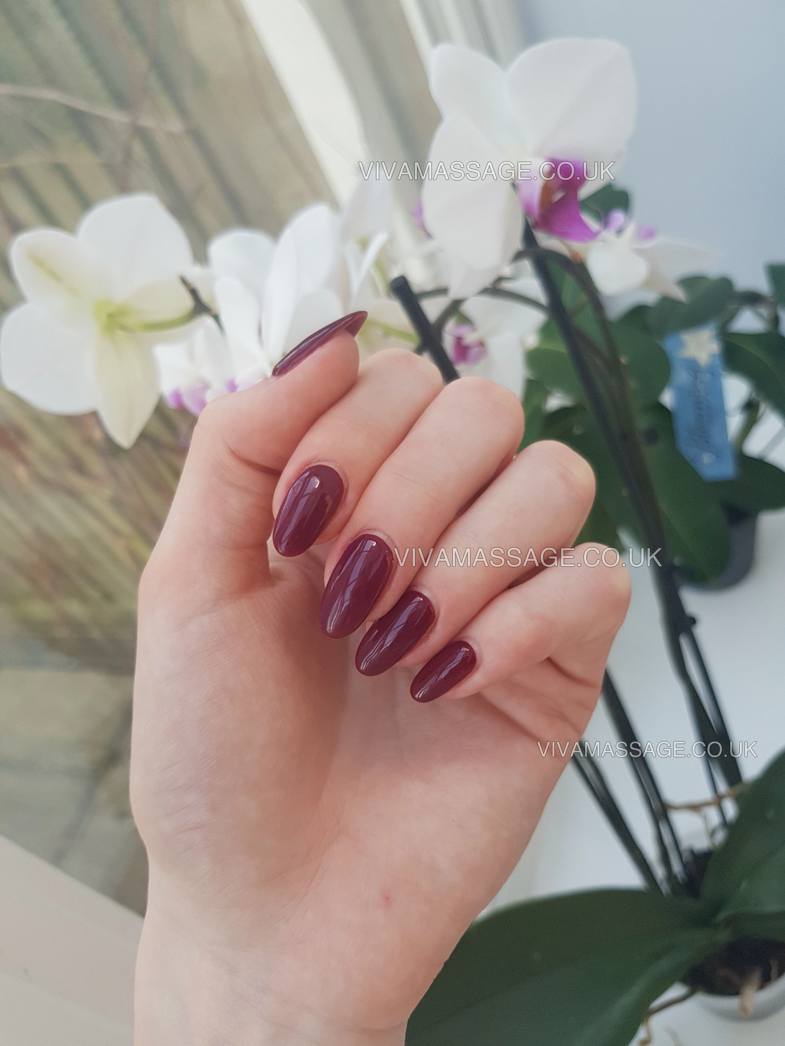 Photo 16 of JemawilliamsXXX