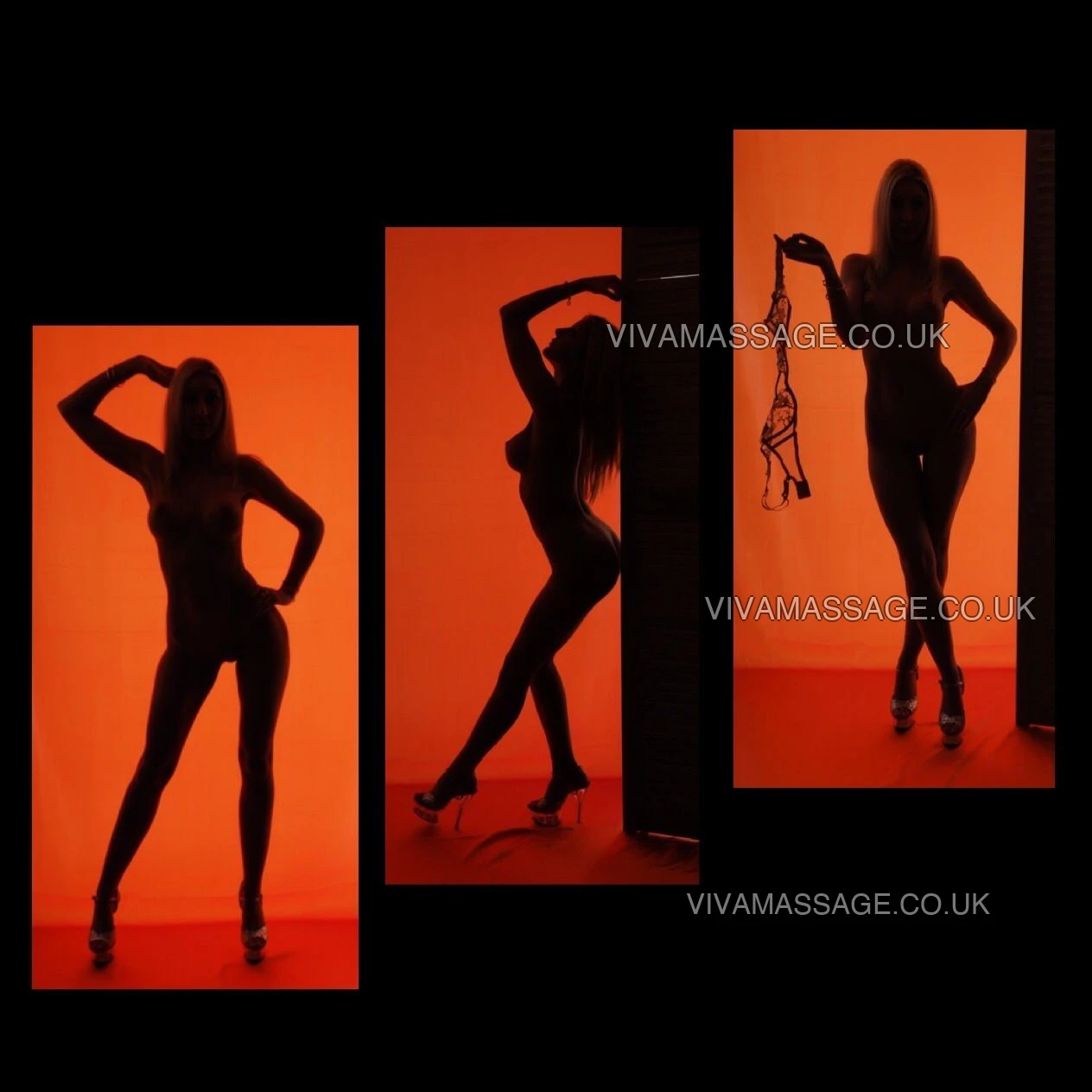 Photo 50 of X Chardonnay X