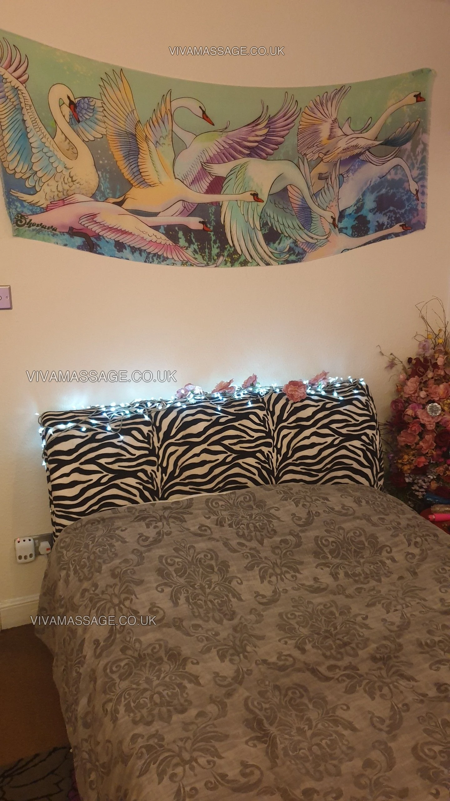 Photo 33 of Missy Candy Caines x