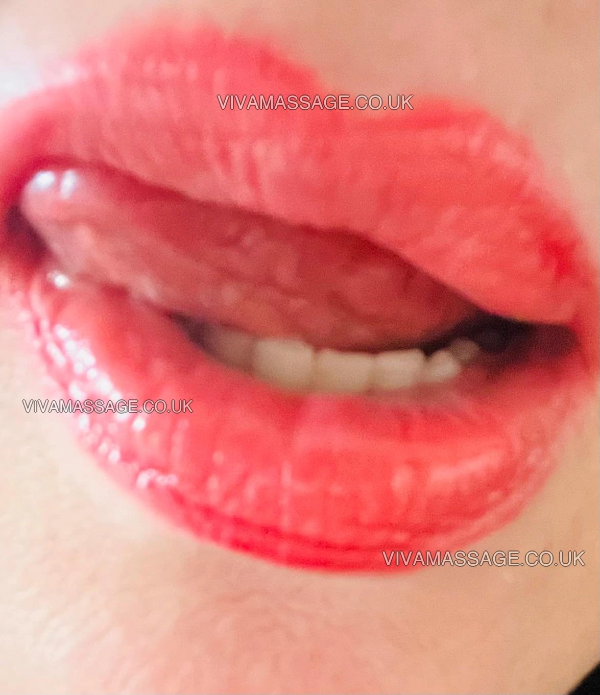 Photo 5 of English Sexy Kirby