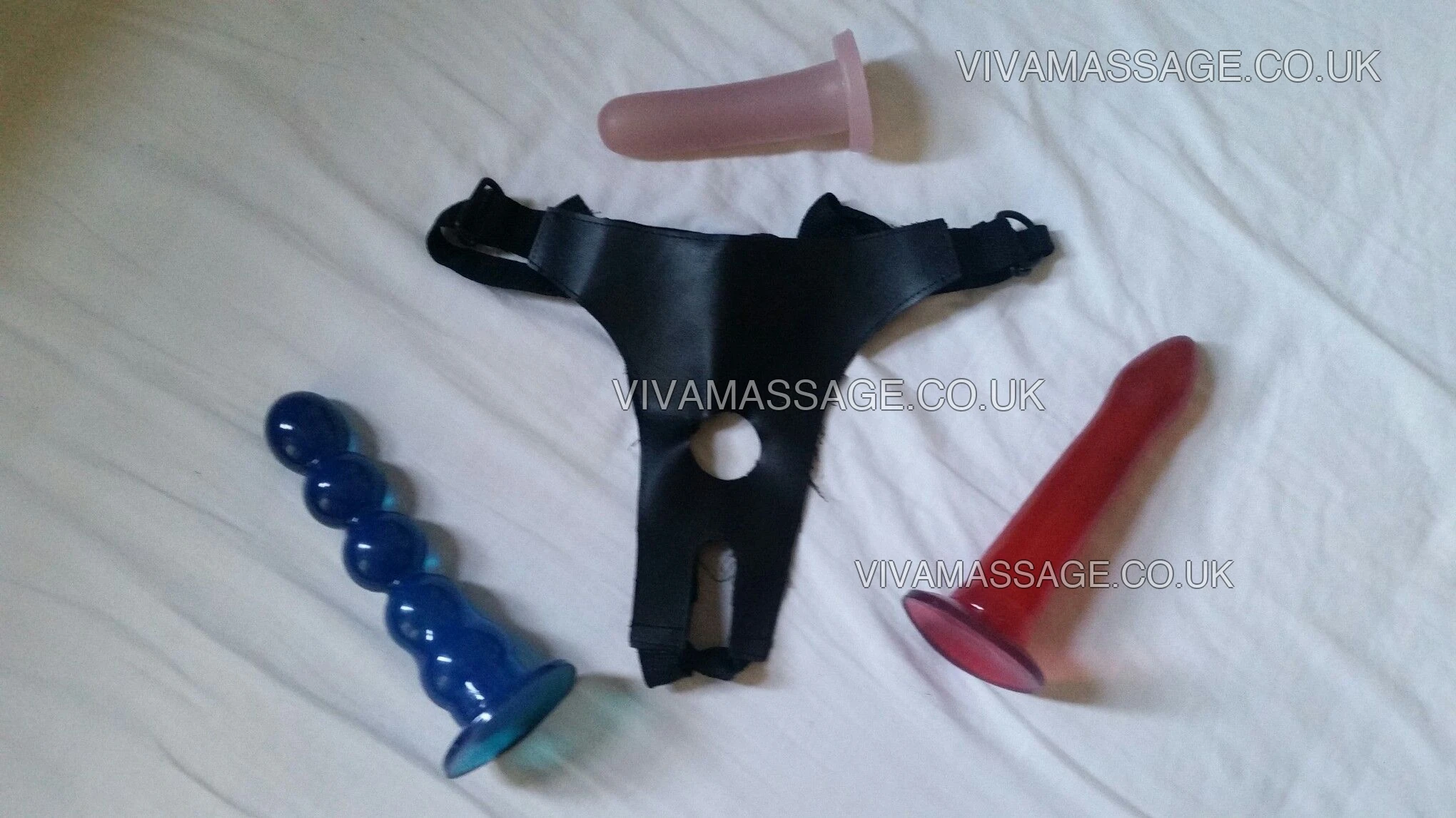 Photo 1 of SAMANTHA'S SEDUCTION