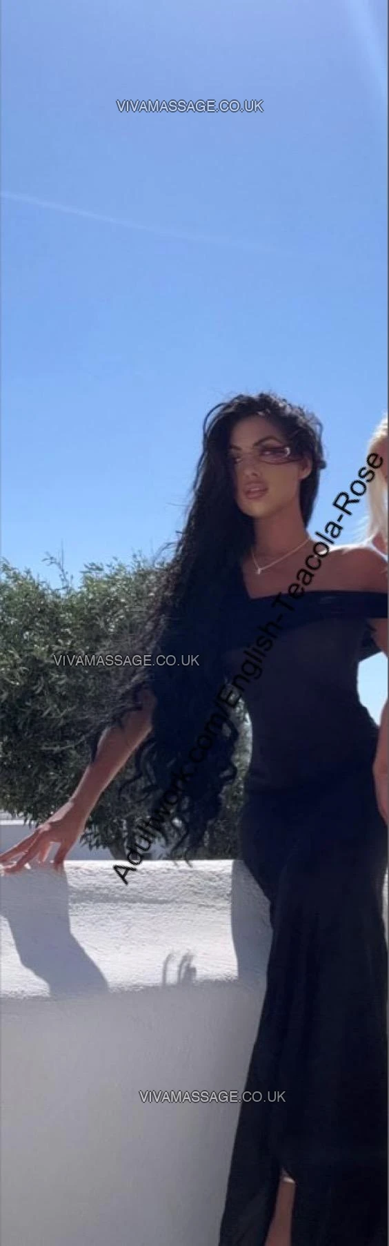 Photo 97 of English-Teacola-Rose