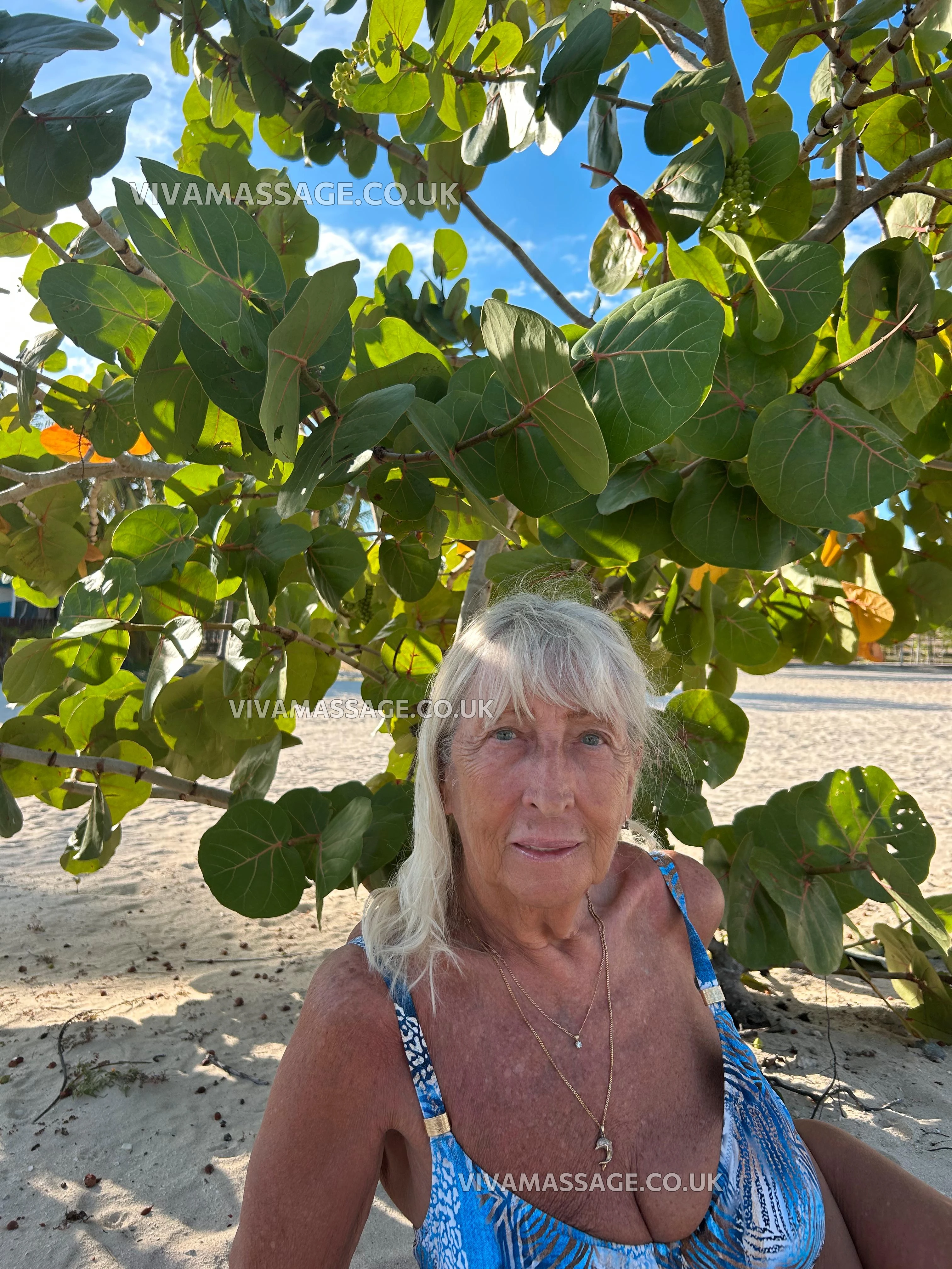 Photo 9 of ENGLISH NICKY