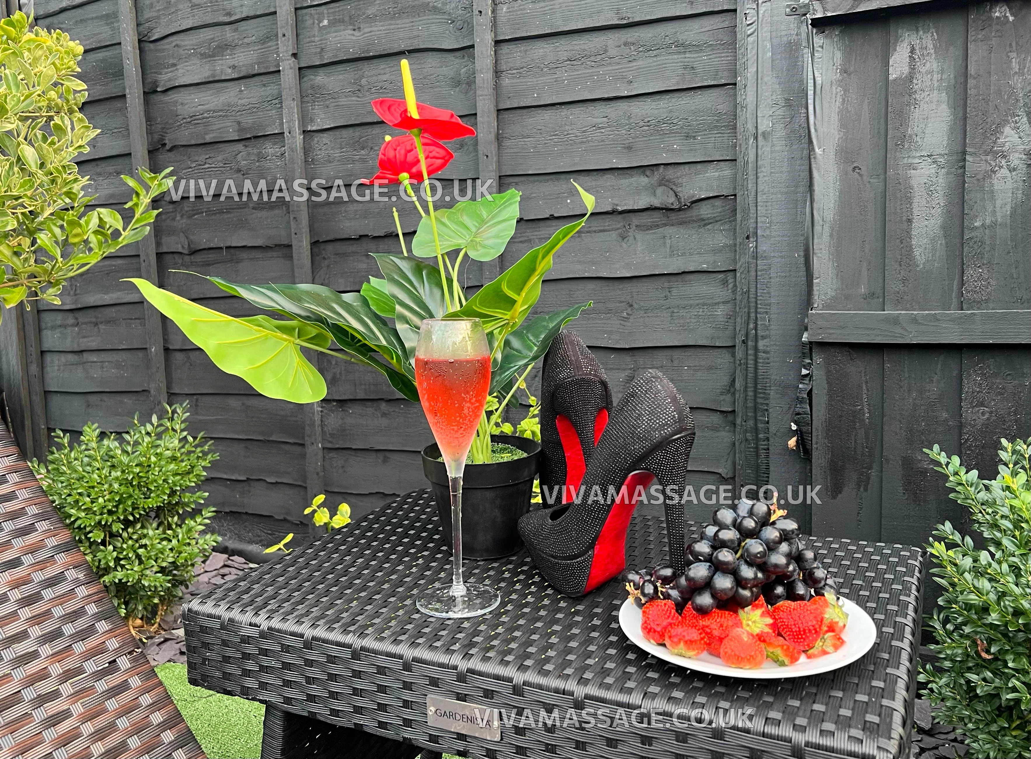 Photo 49 of Velvet Skin 