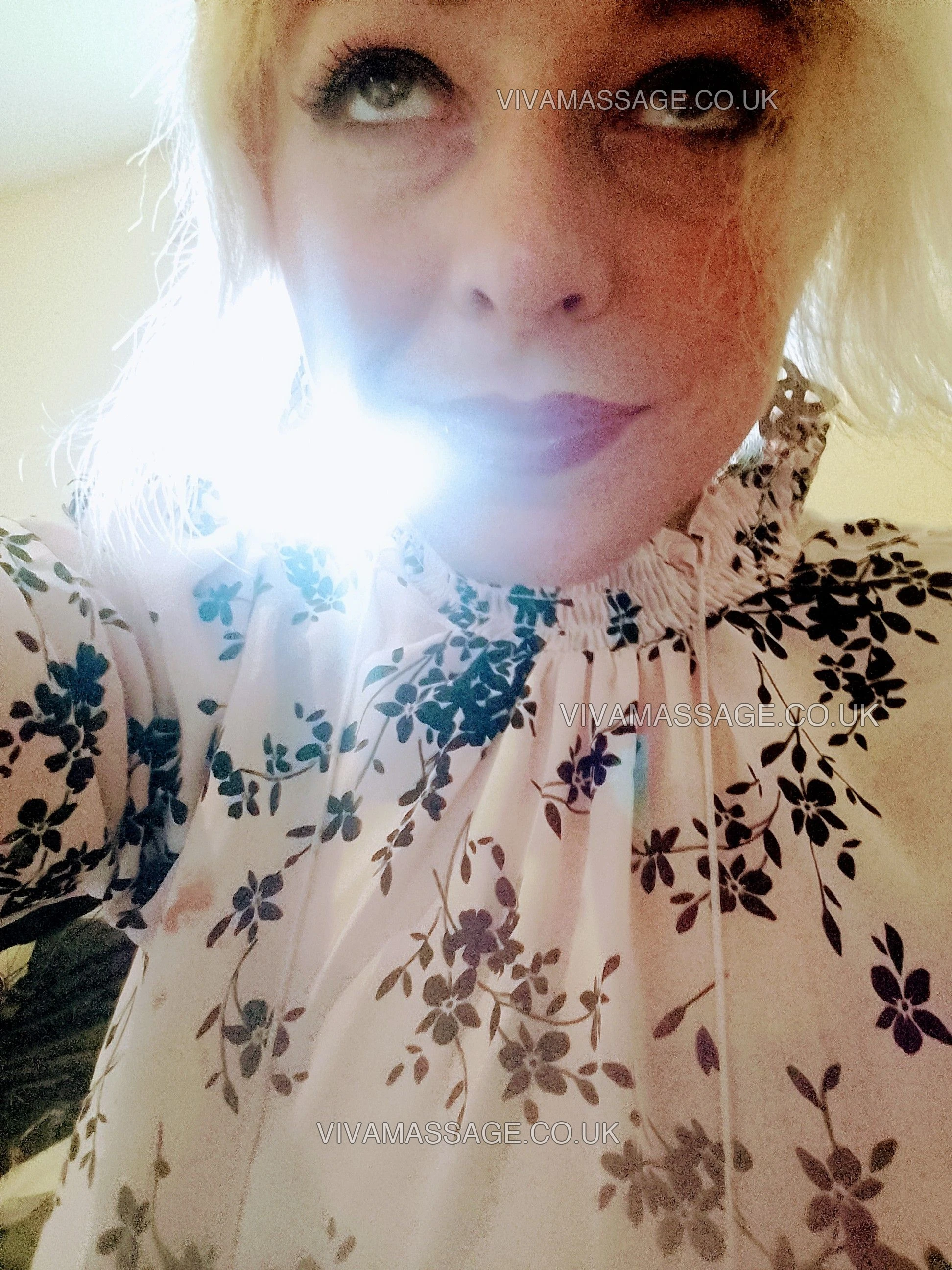 Photo 1 of Pixie7522