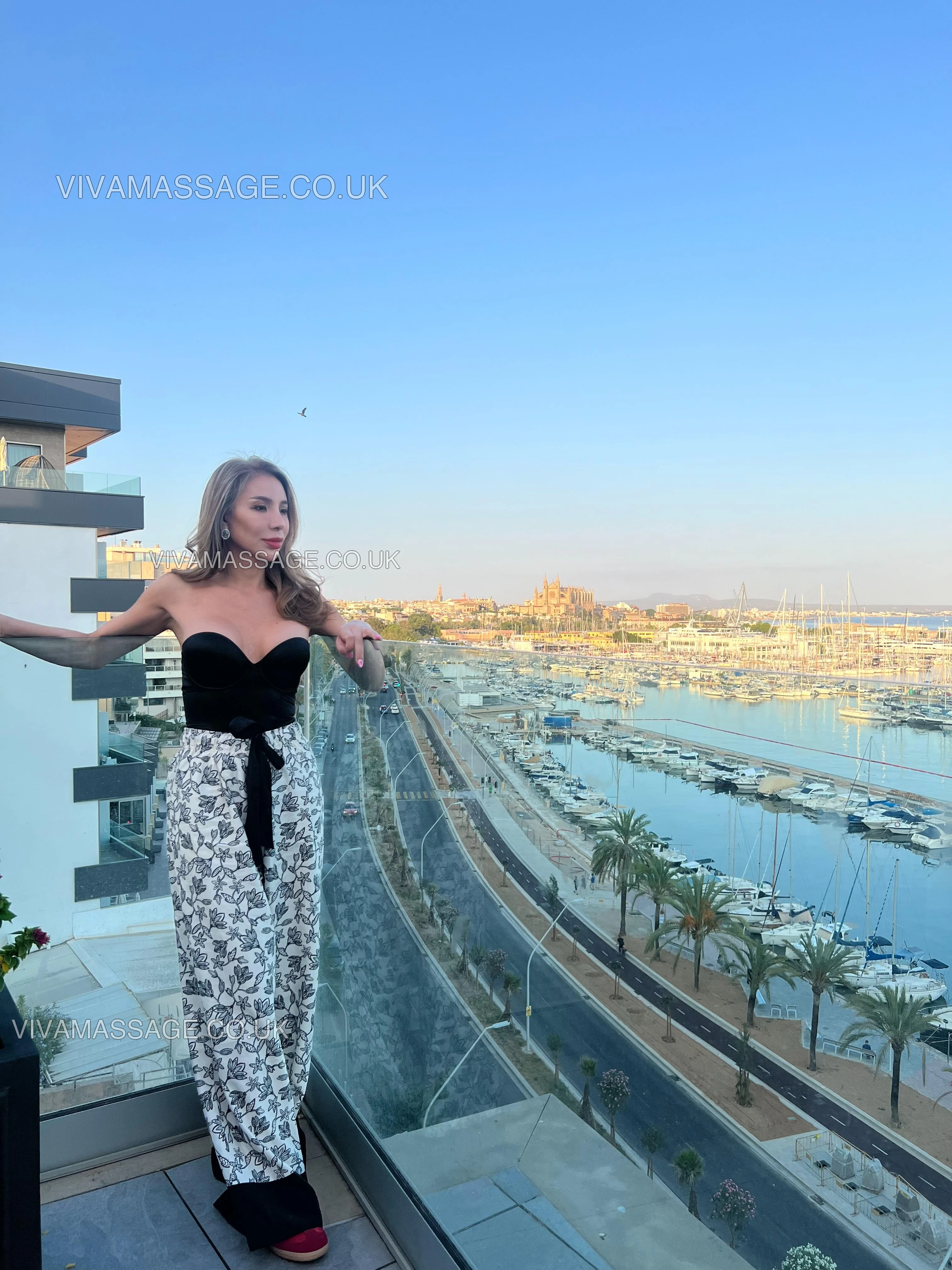 Photo 6 of Trans-Jasmine