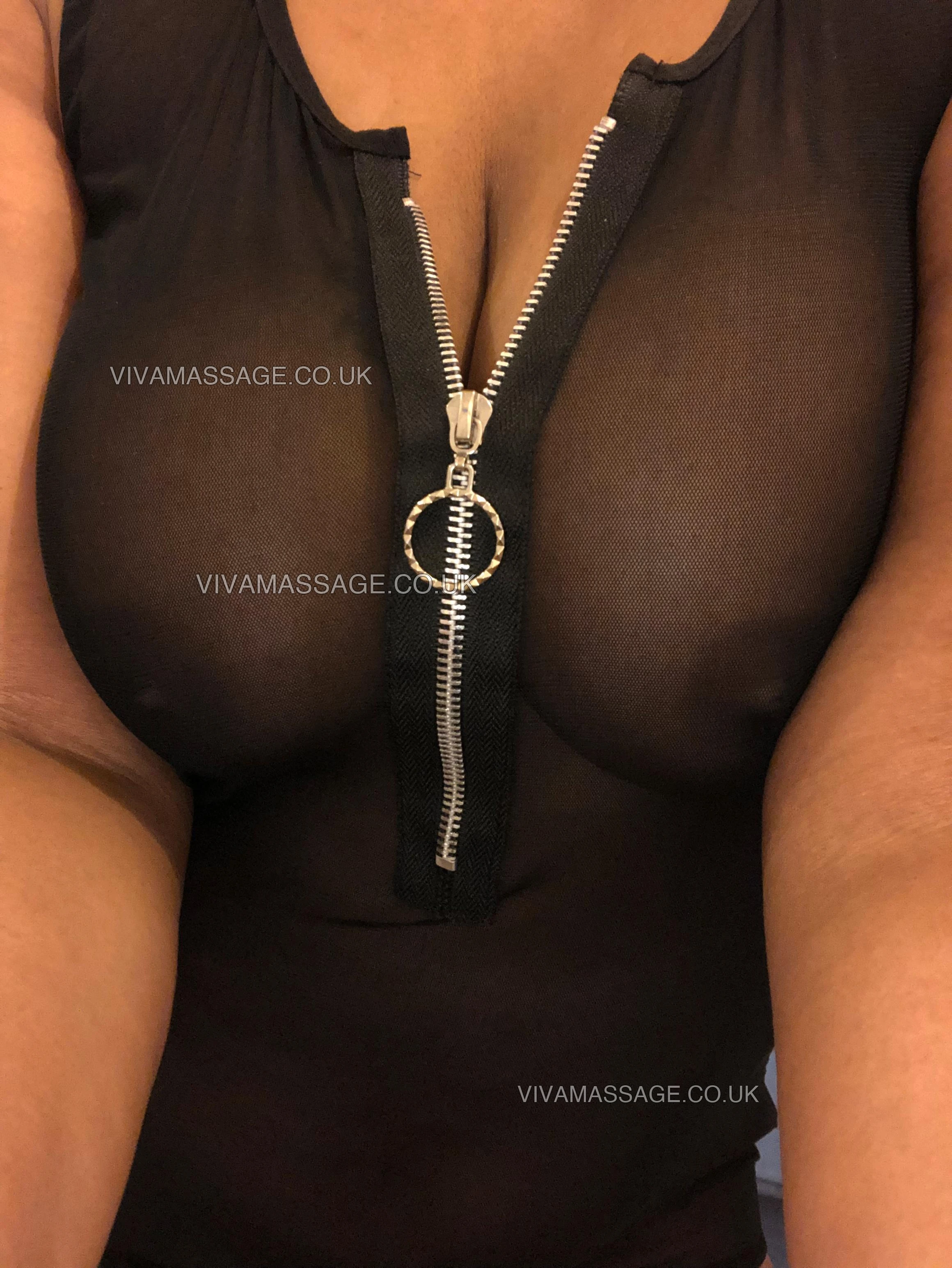 Photo 3 of Honeybee x