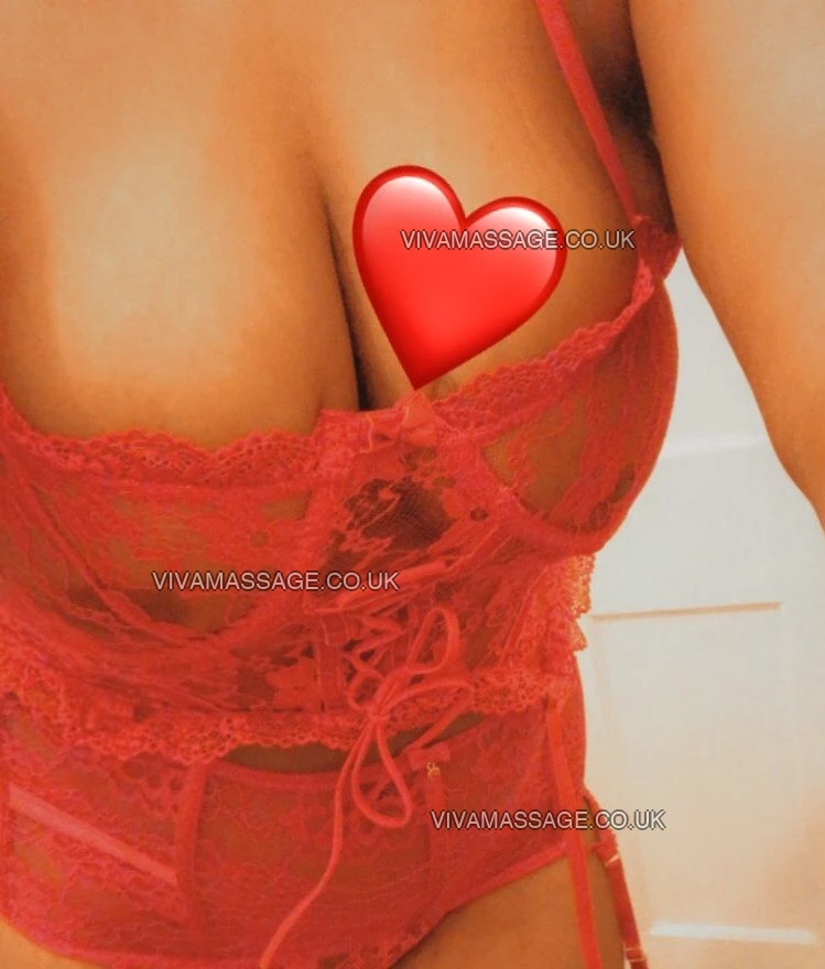 Photo 4 of Honeybee x