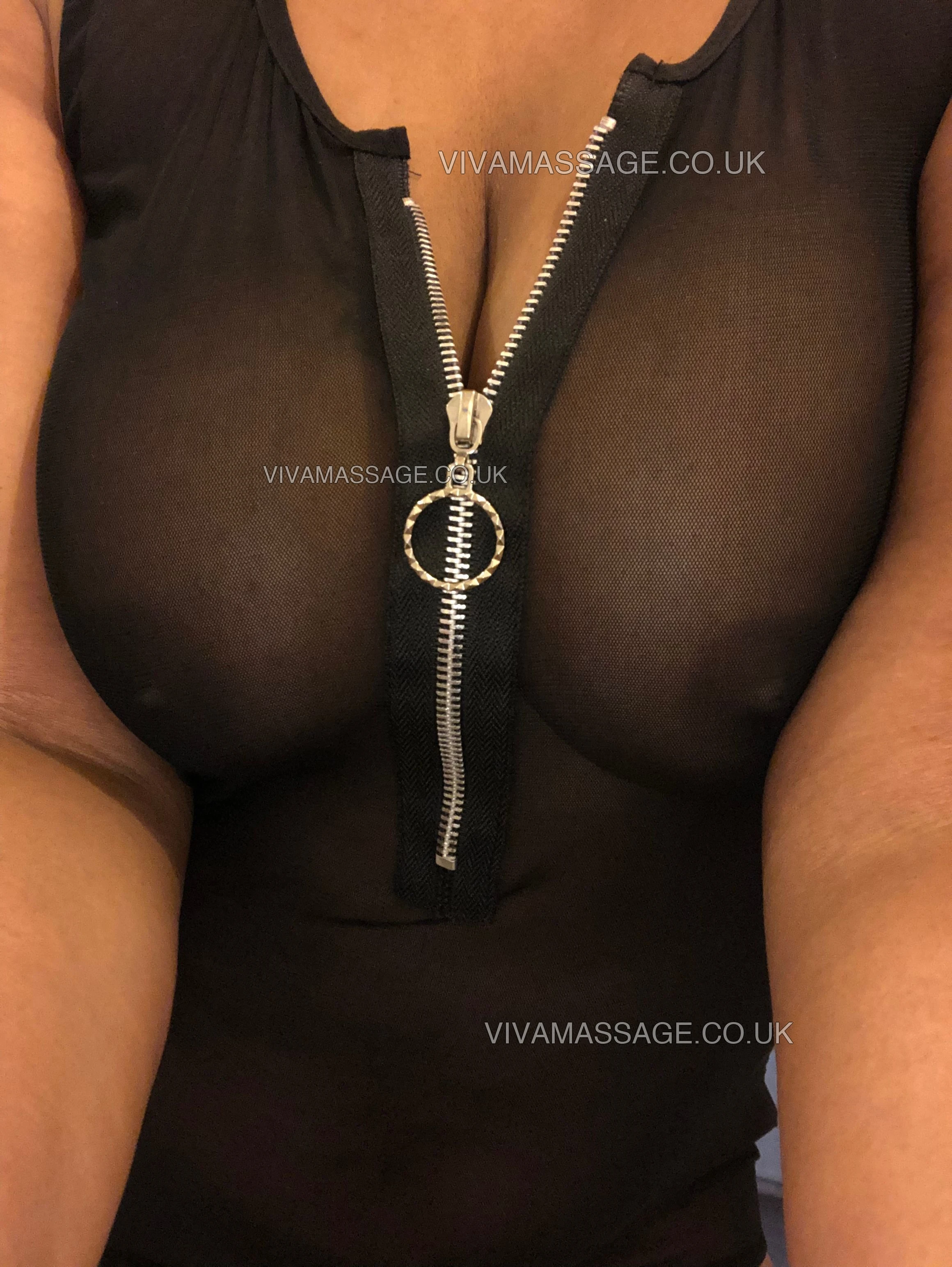 Photo 11 of Honeybee x