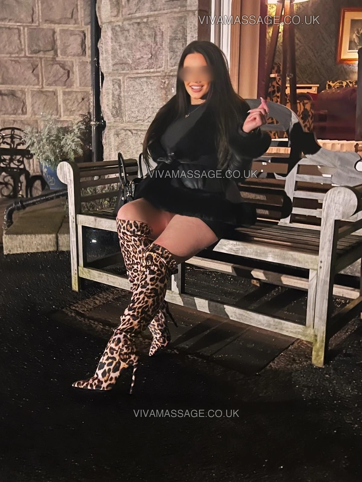 Photo 2 of Feral_Kitten