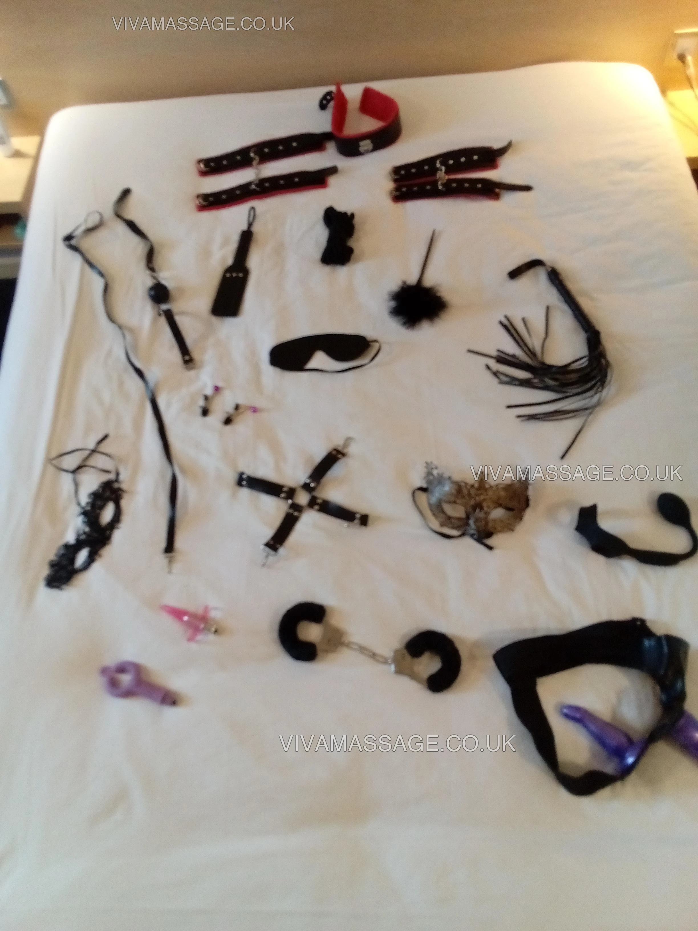 Photo 9 of miss English daisy