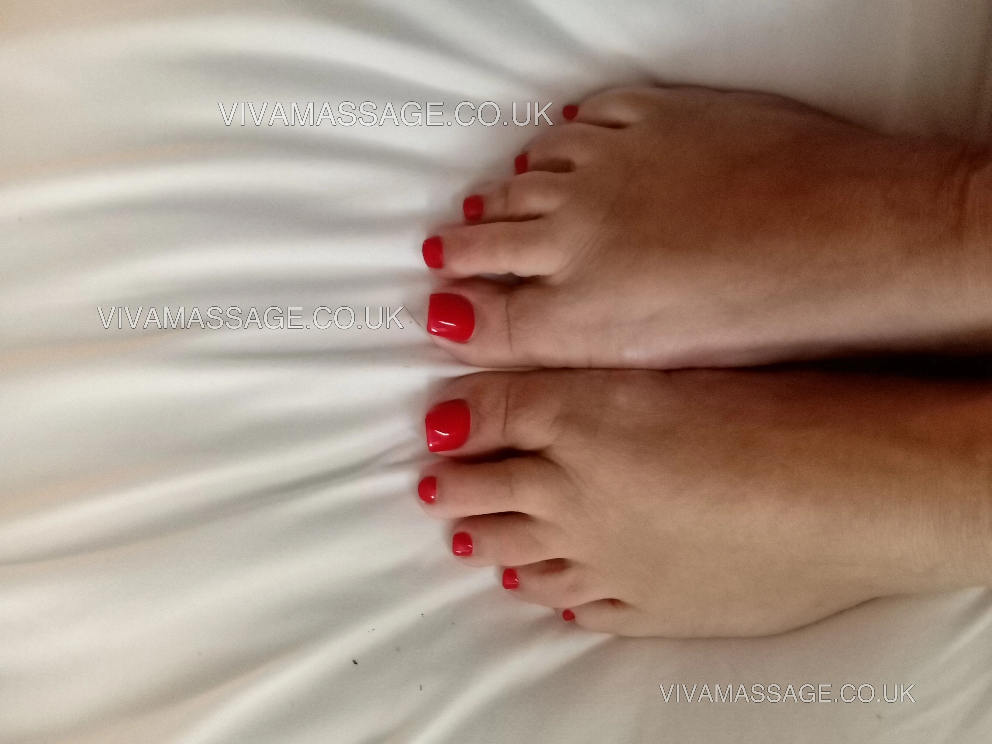 Photo 17 of miss English daisy