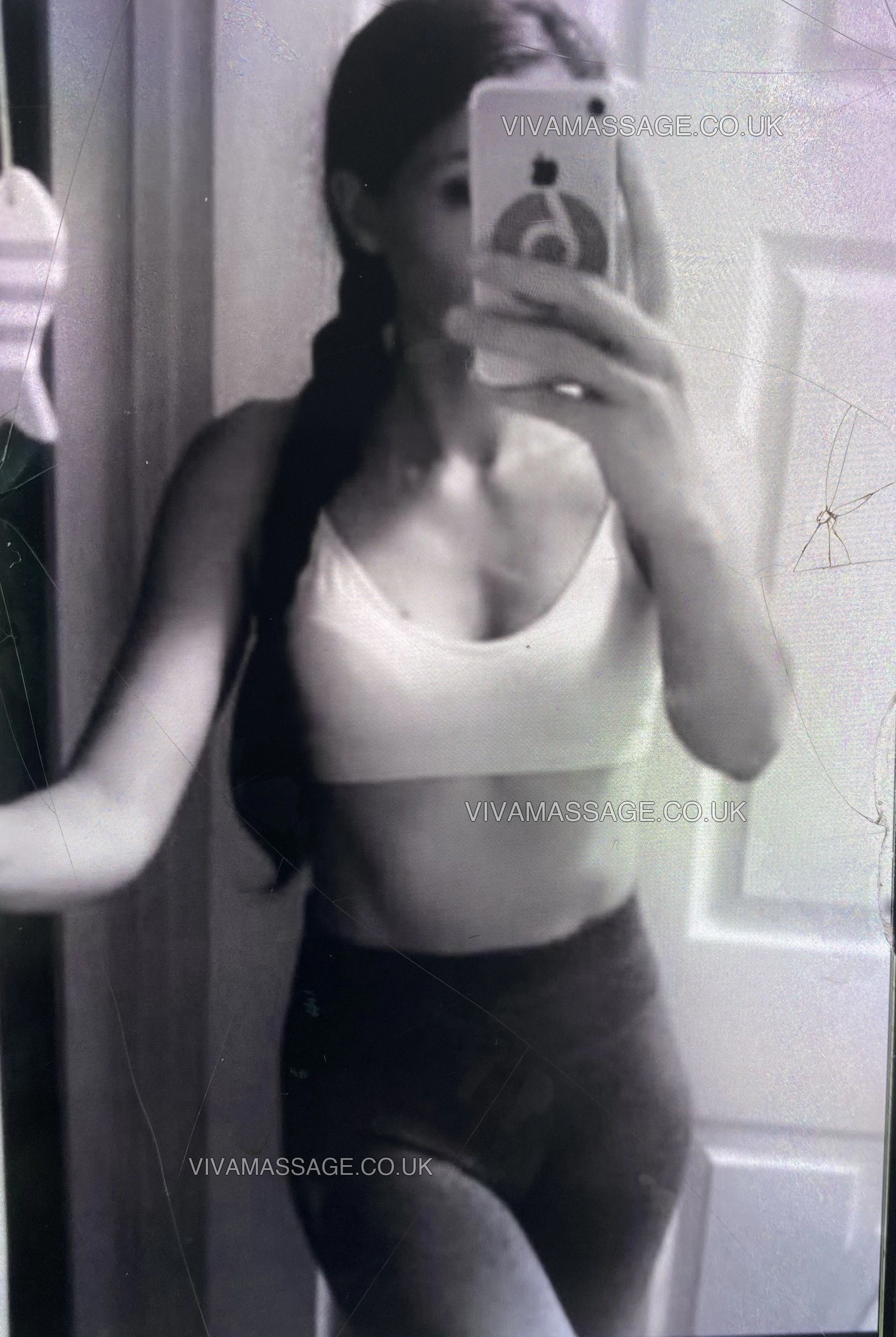 Photo 1 of Welsh Pocket Rocket