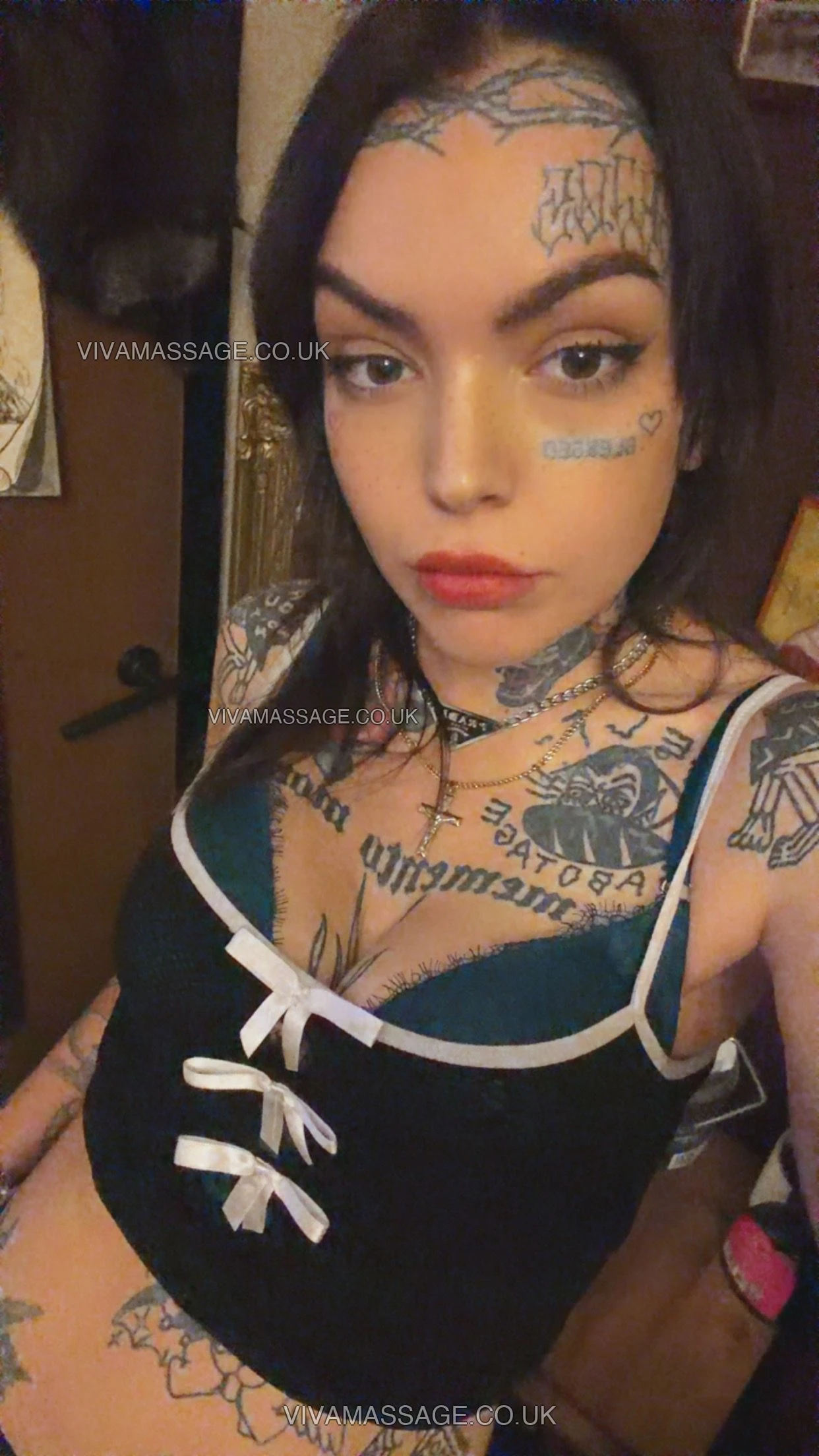 Photo 6 of south.yorks.goat