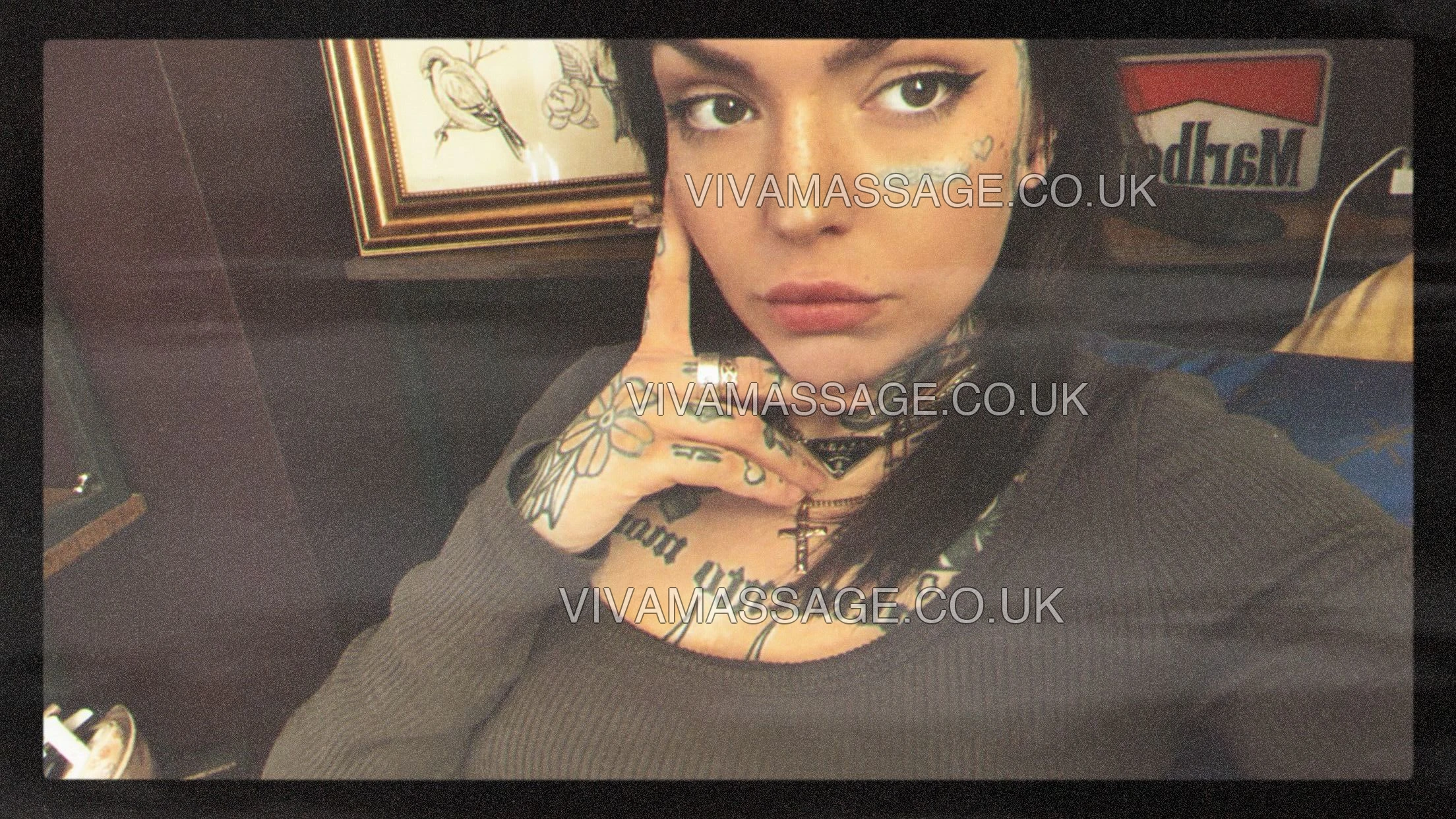 Photo 21 of south.yorks.goat